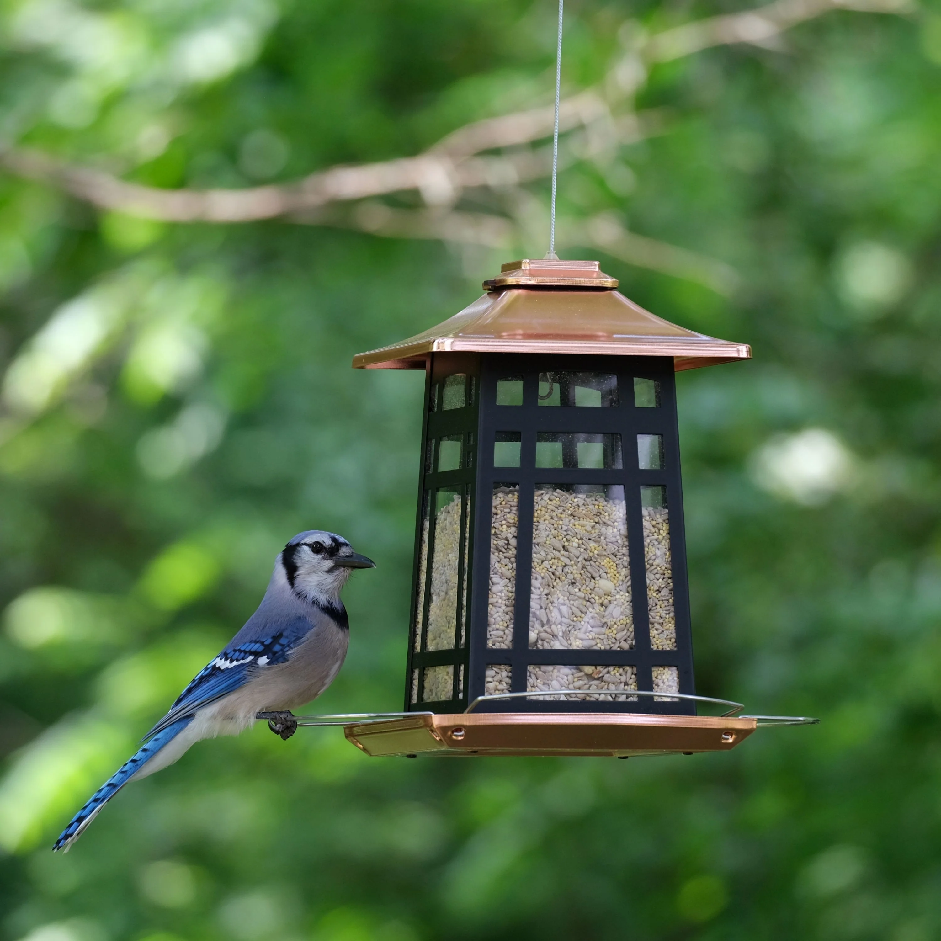 Copper Arches Metal Gazebo Bird Feeder