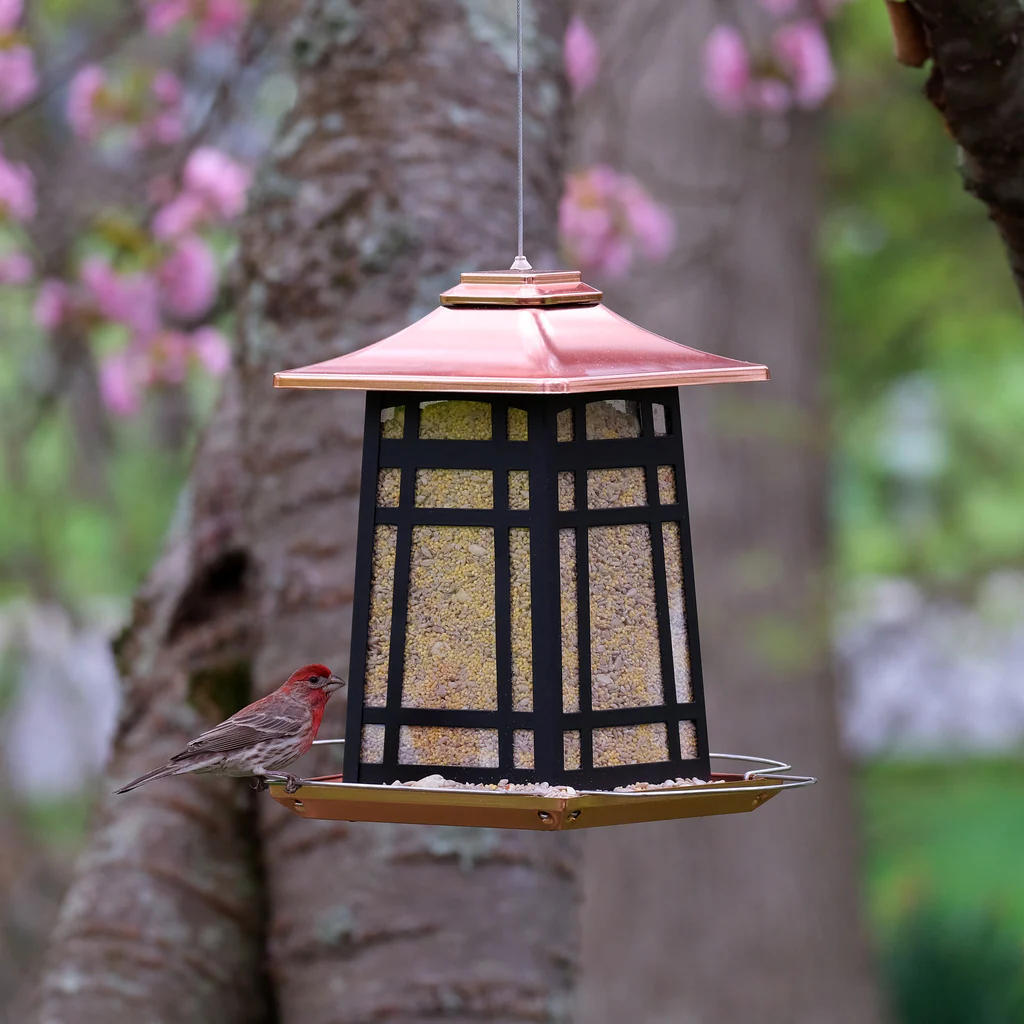 Copper Arches Metal Gazebo Bird Feeder - Image 7