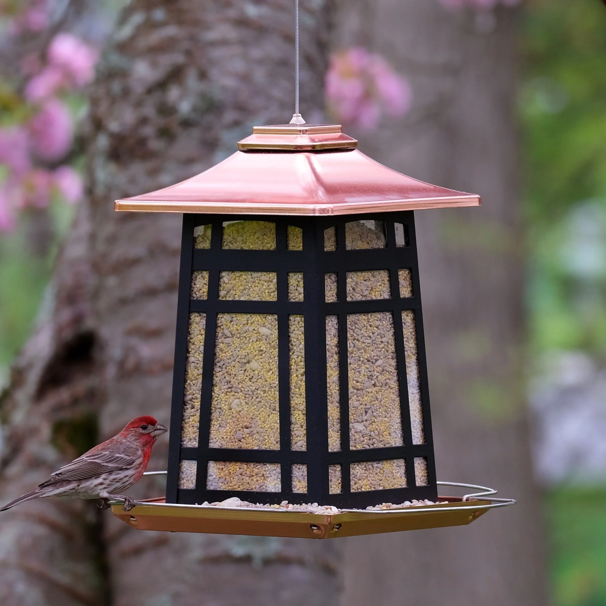 Copper Arches Metal Gazebo Bird Feeder - Image 8