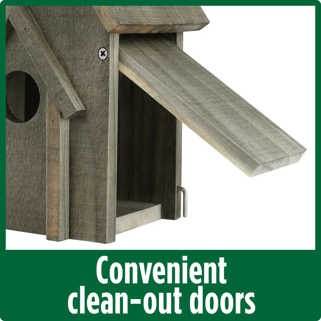 Country Bluebird House - Walnut - Image 2