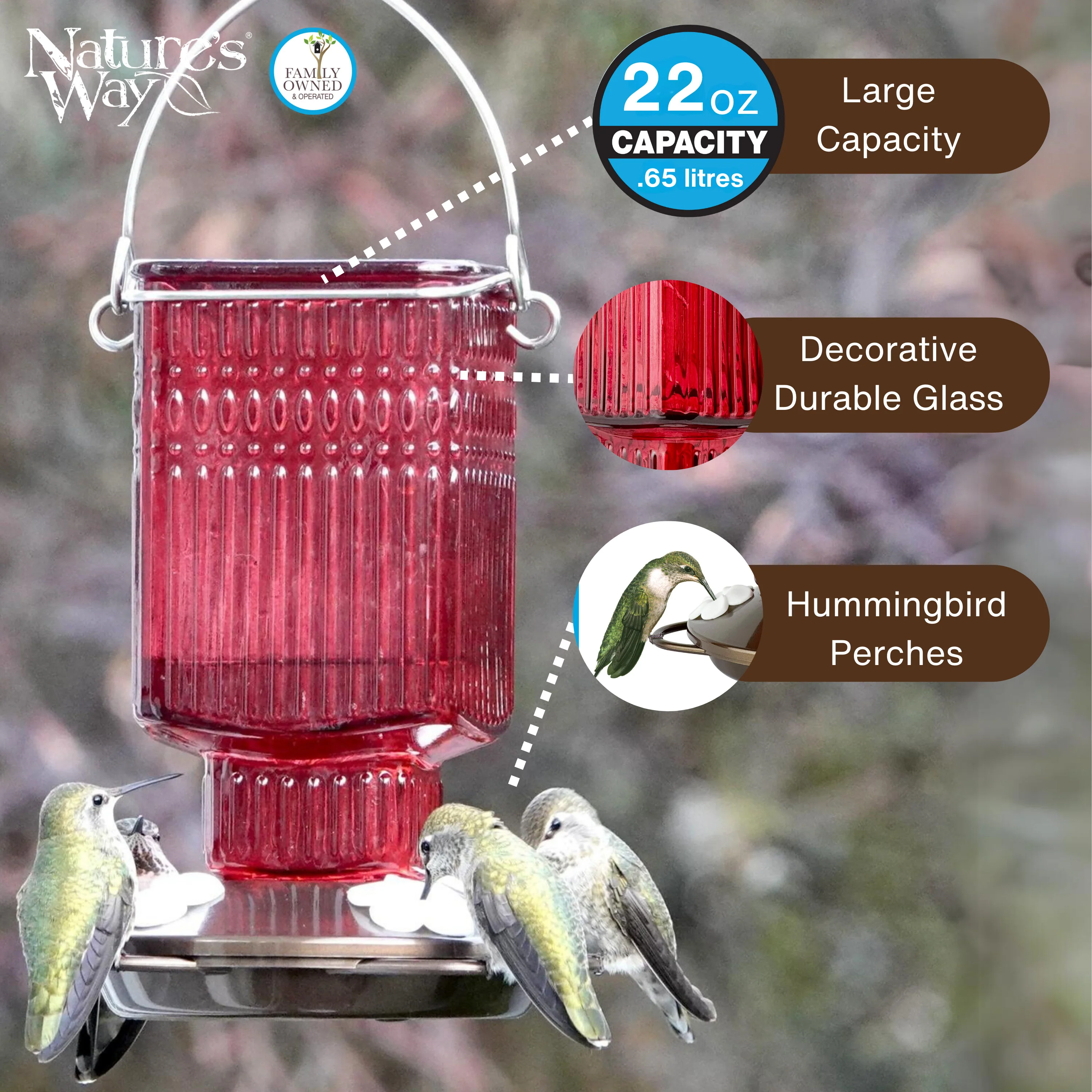Crimson Carnation Antique Glass Gravity Hummingbird Feeder - Image 3