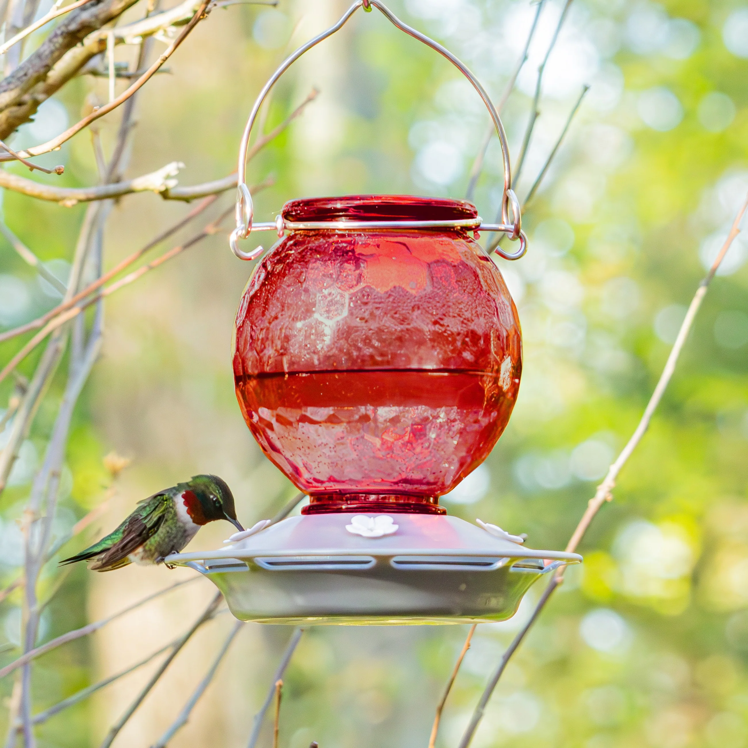 Crimson Comb Recycled Glass Hummingbird Feeder