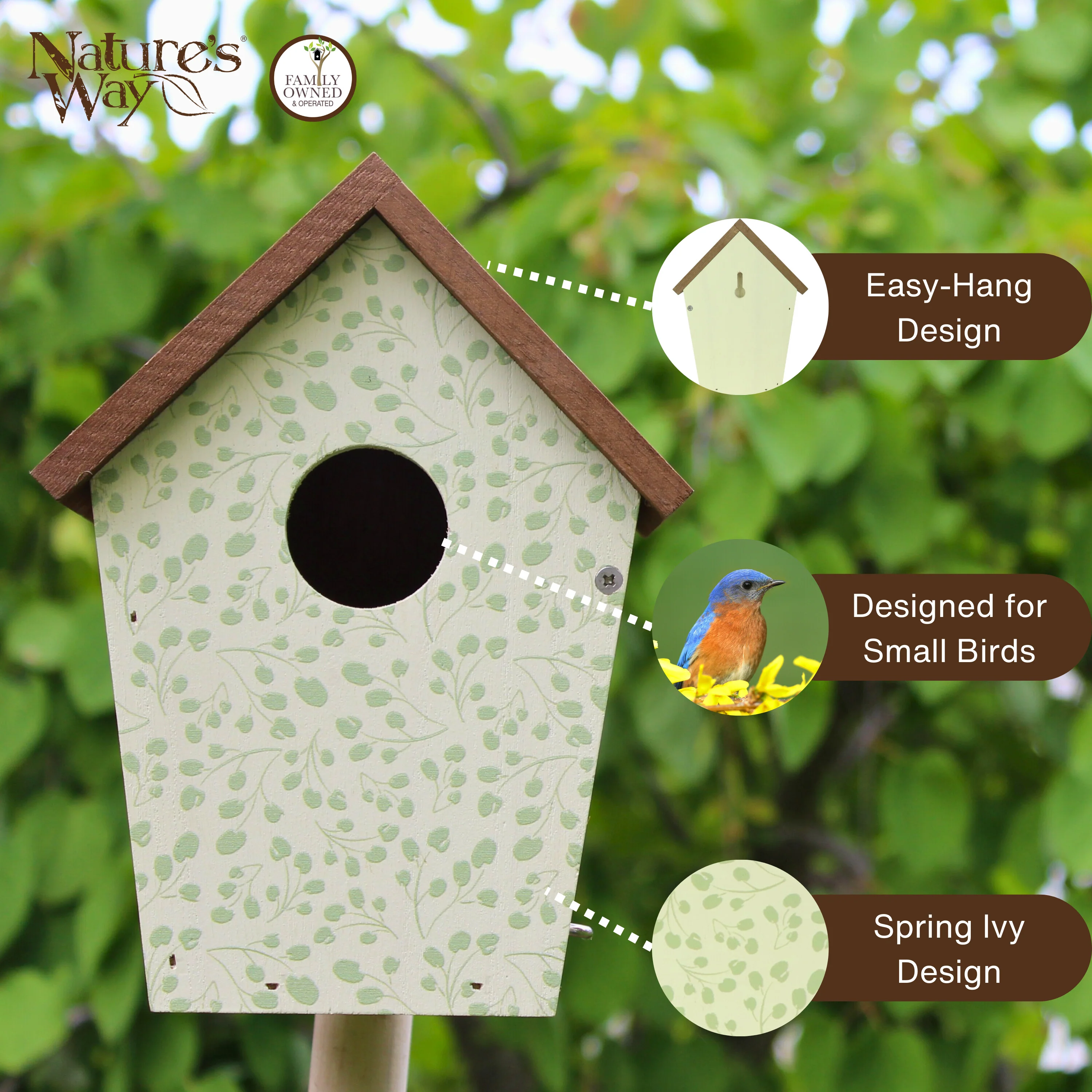 Spring Ivy Decorative Bluebird House - Image 3