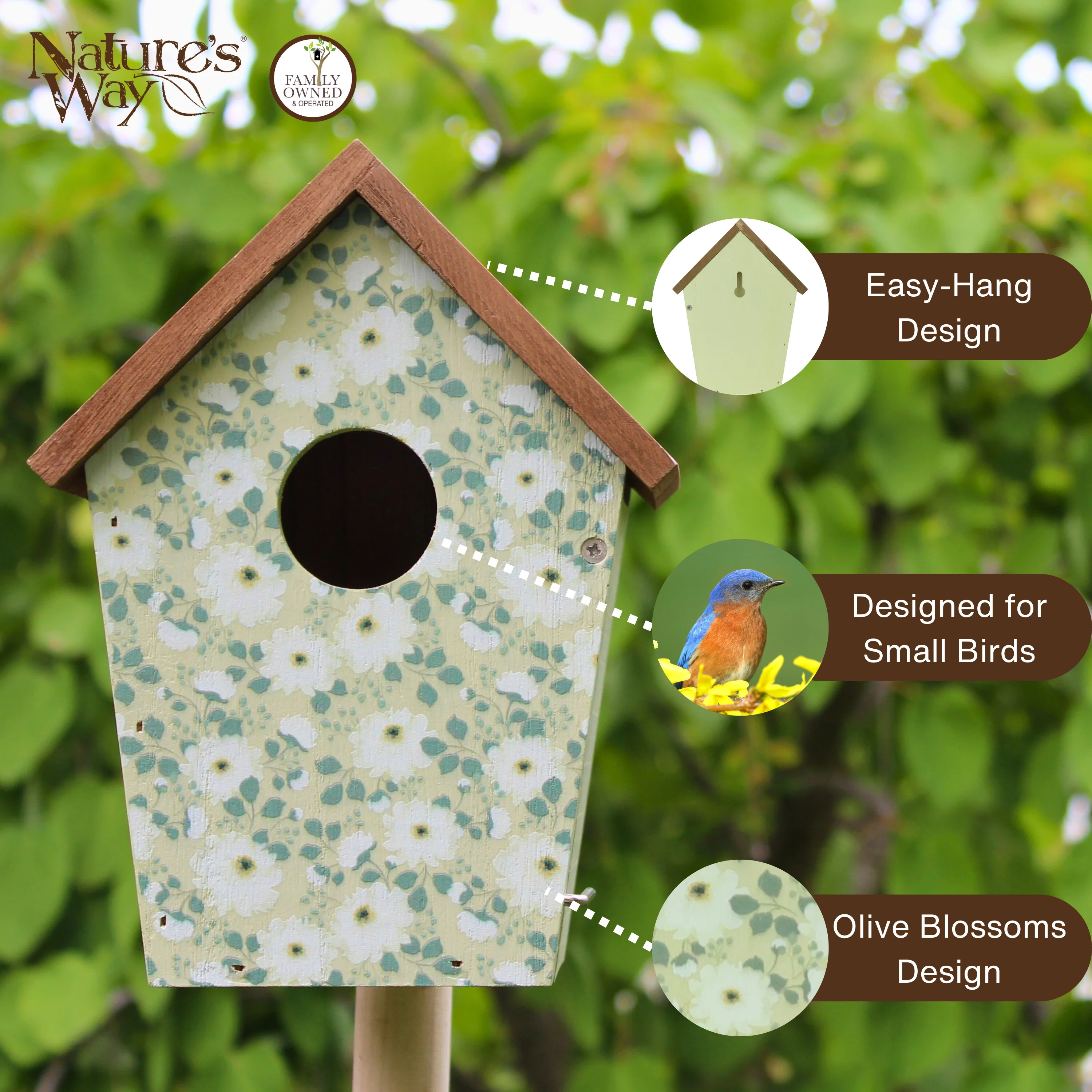 Olive Blossoms Decorative Bluebird House - Image 3