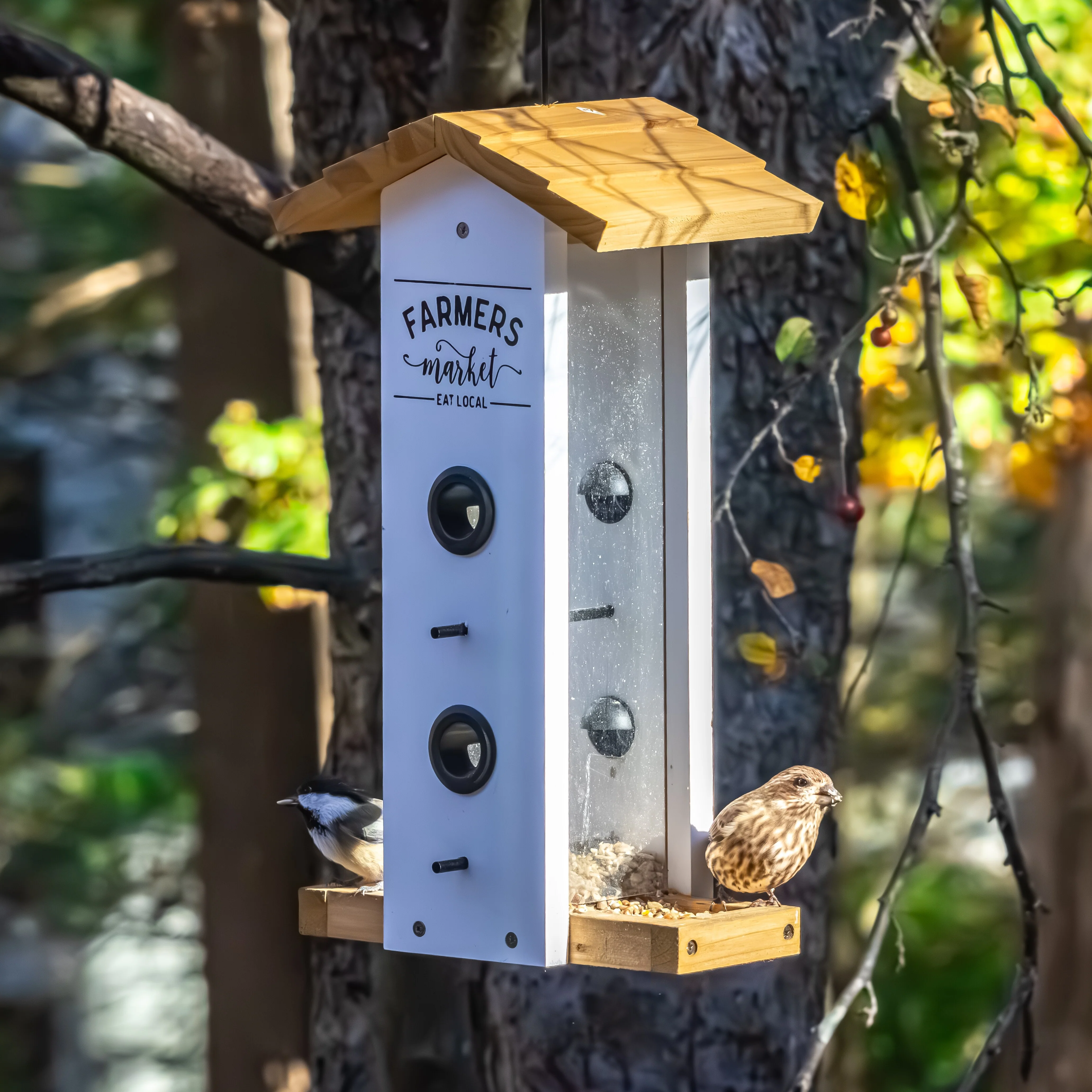 Farmhouse Cedar Vertical Feeder - Image 7