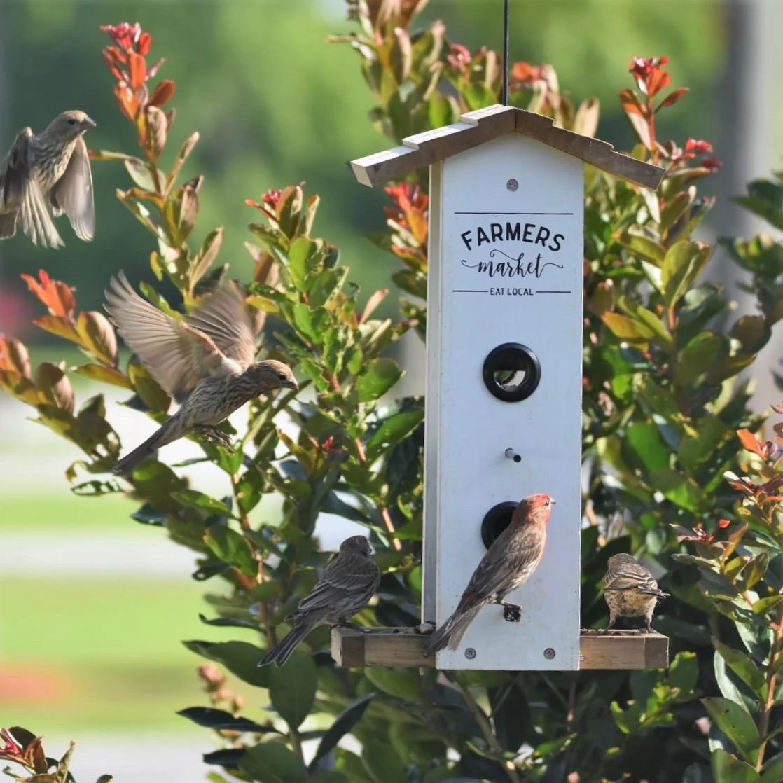 Farmhouse Cedar Vertical Feeder - Image 8