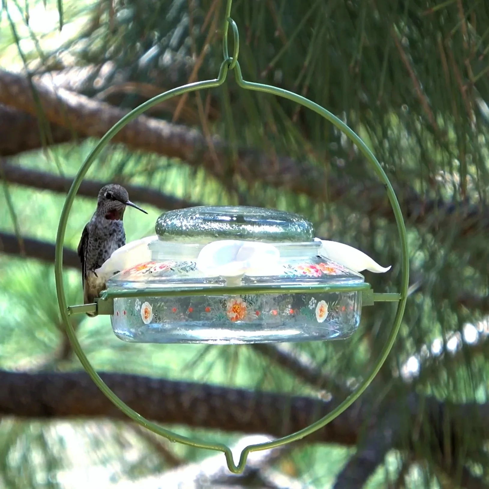 Decorative Glass Top-Fill Hummingbird Feeder - Gardenia Bouquet - Image 11