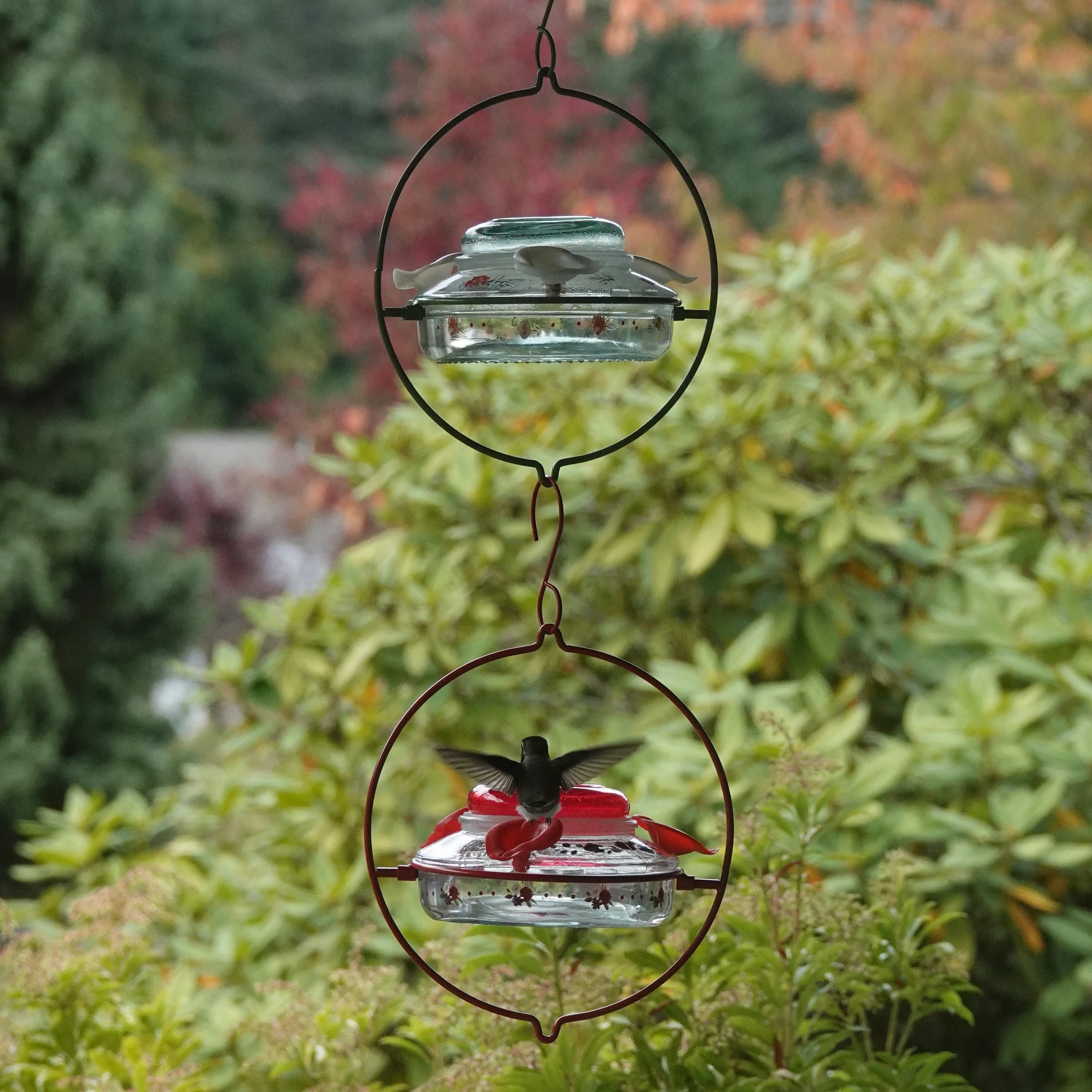 Decorative Glass Top-Fill Hummingbird Feeder - Gardenia Bouquet - Image 9