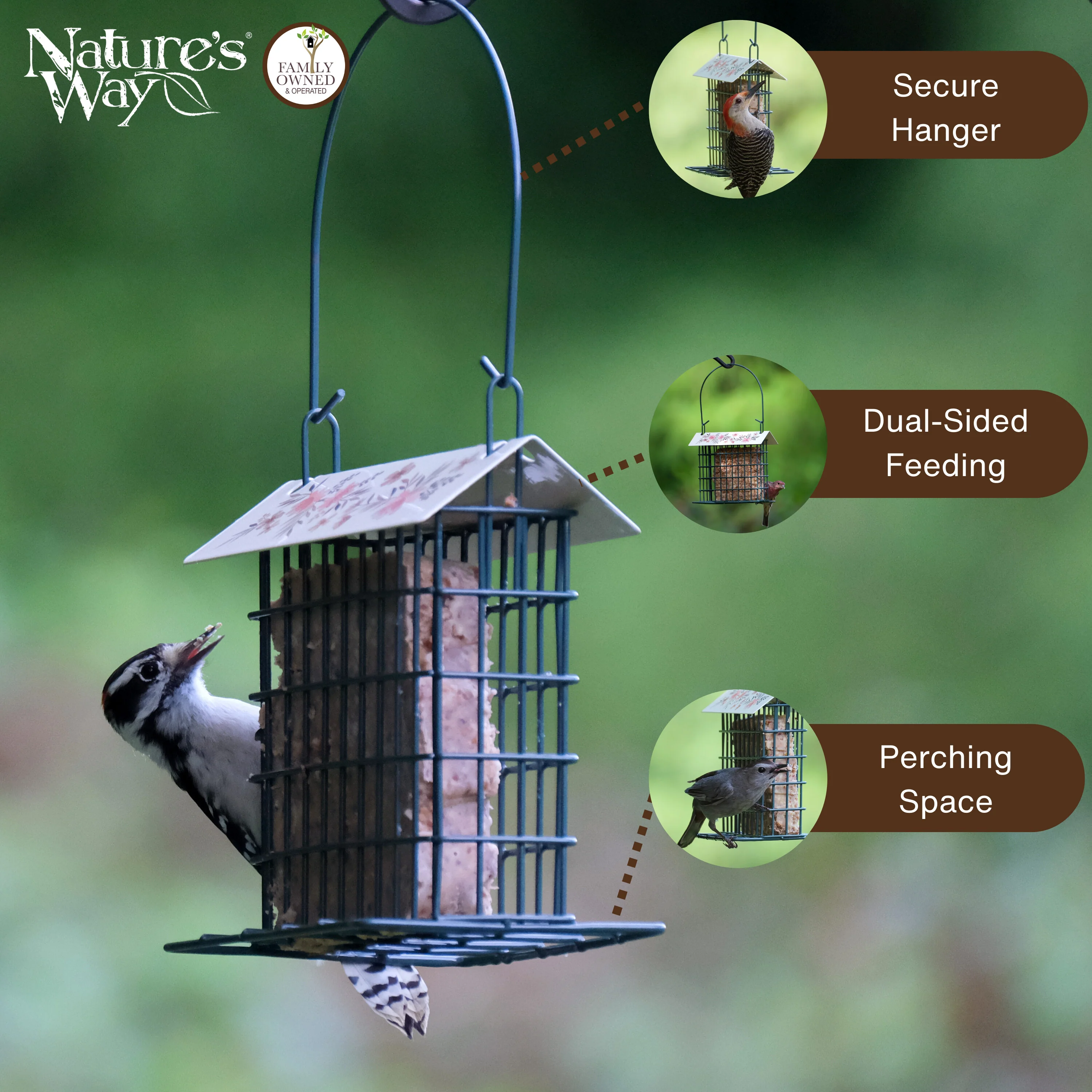 Decorative Metal Single Cake Suet Cage Bird Feeder - Single Cake - Image 3