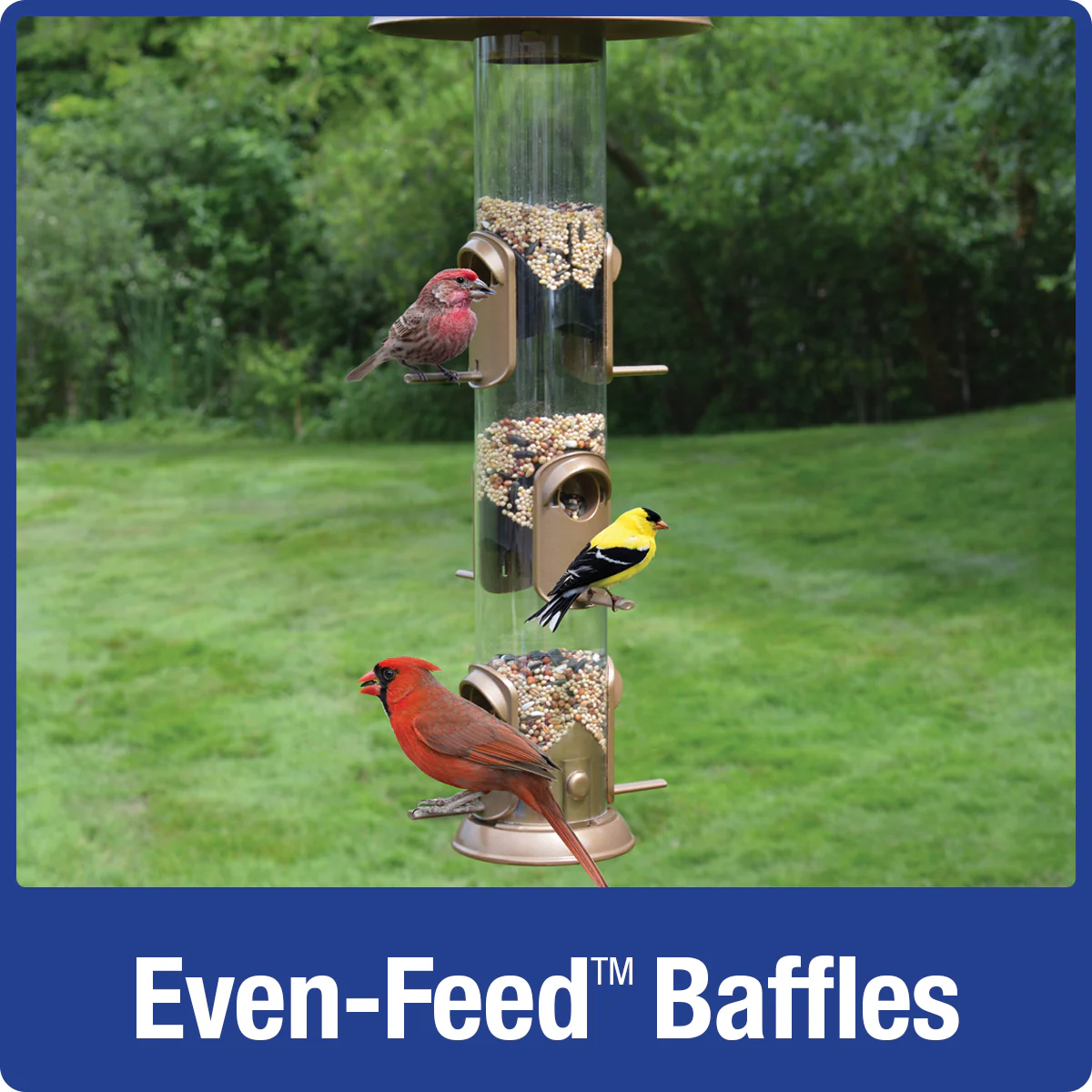 Deluxe Funnel Flip-Top Tube Feeder - Image 4