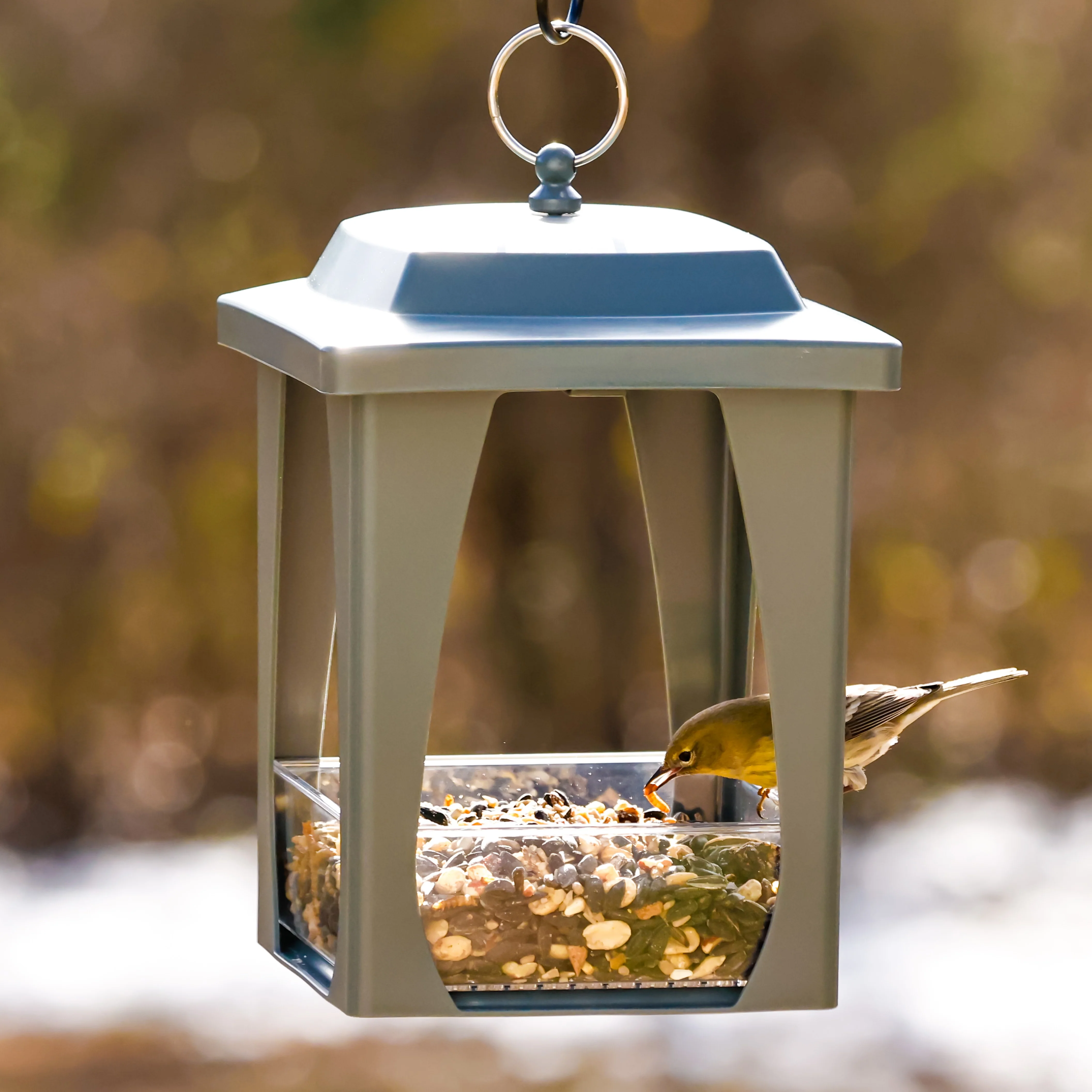 Dine-in Hanging Plastic Fly Through Bird Feeder - Grey - Image 10