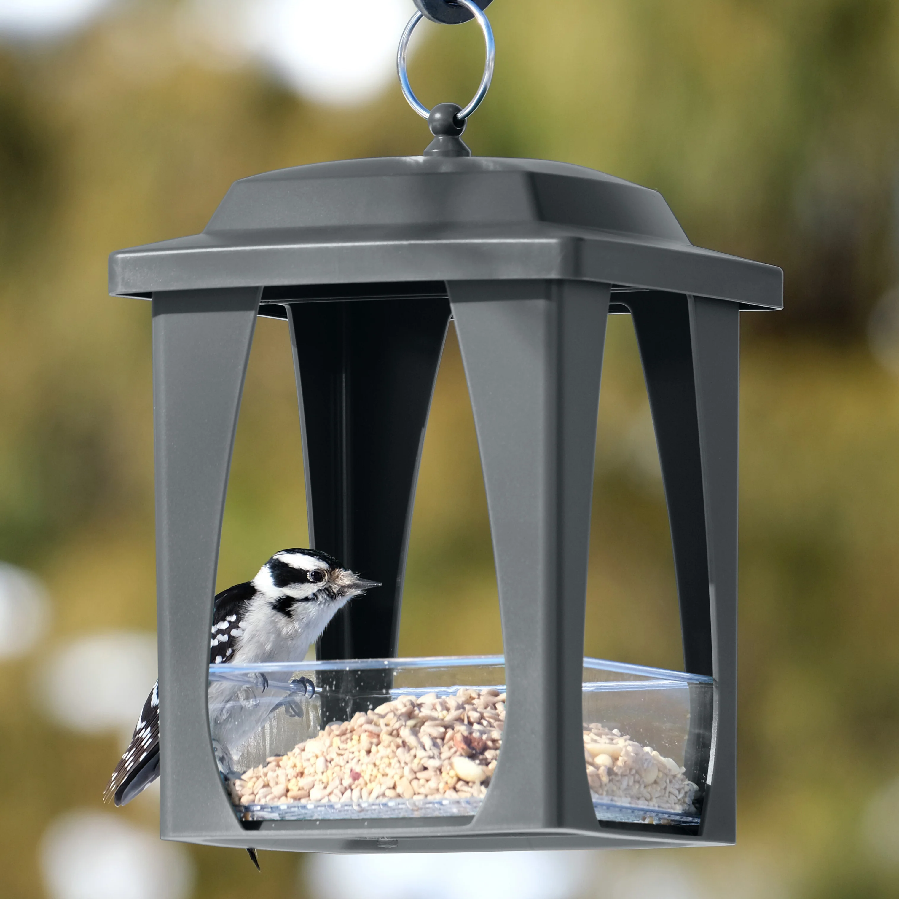 Dine-in Hanging Plastic Fly Through Bird Feeder - Grey - Image 7
