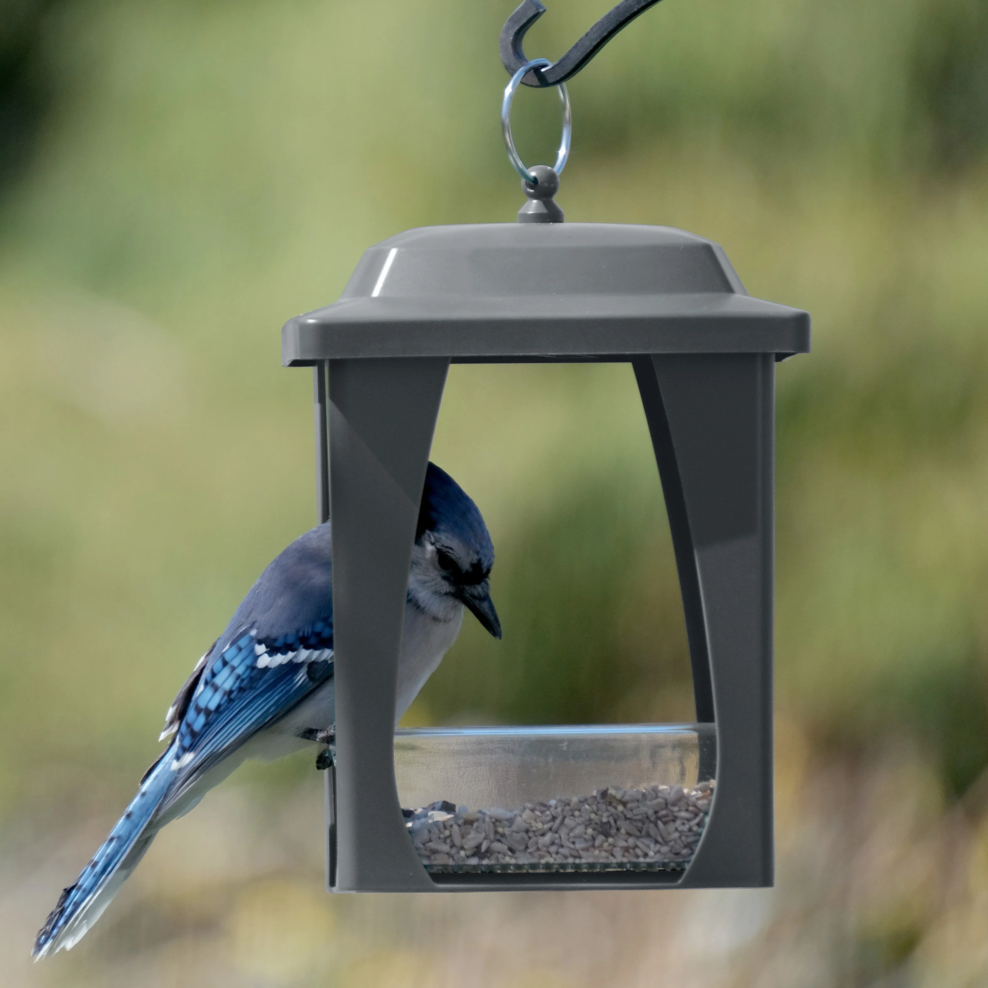 Dine-in Hanging Plastic Fly Through Bird Feeder - Grey - Image 9