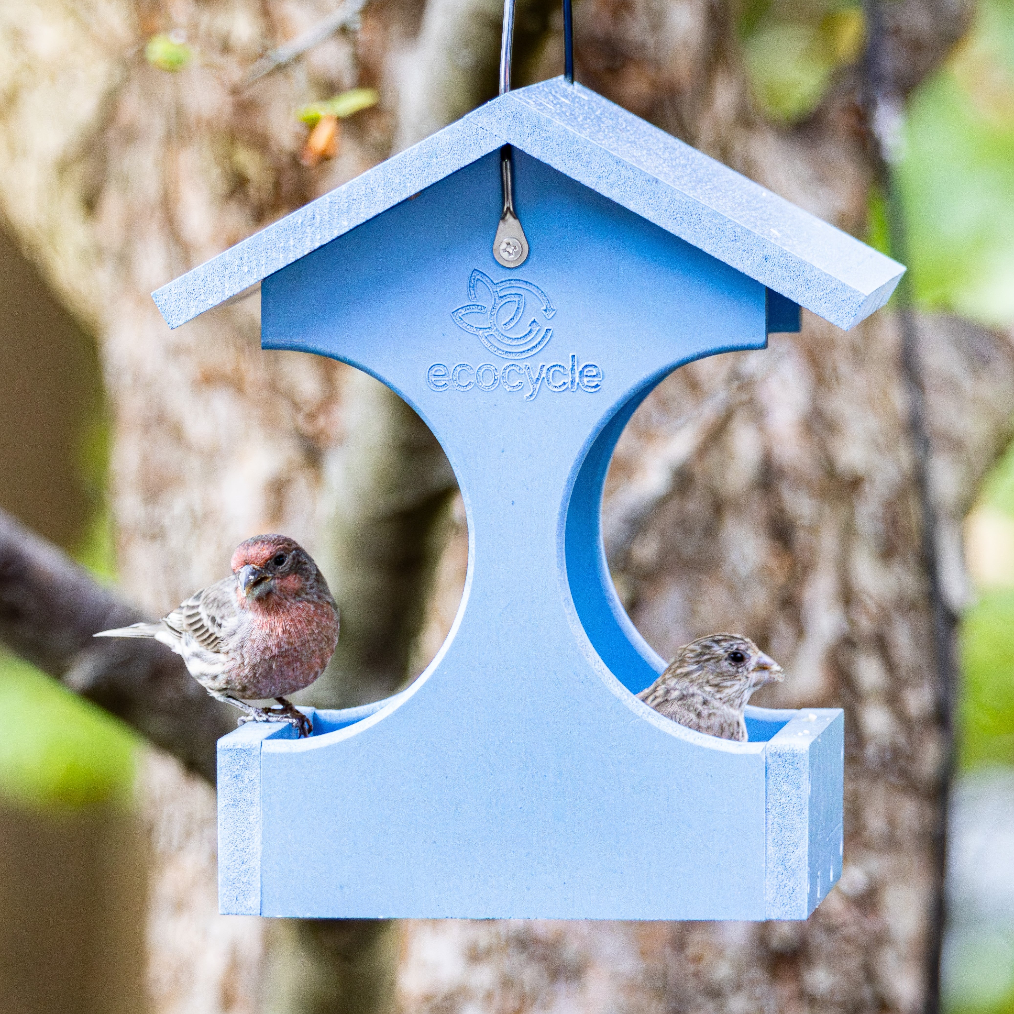 Dine-n-Dash Recycled Plastic Bird Feeder - Image 10