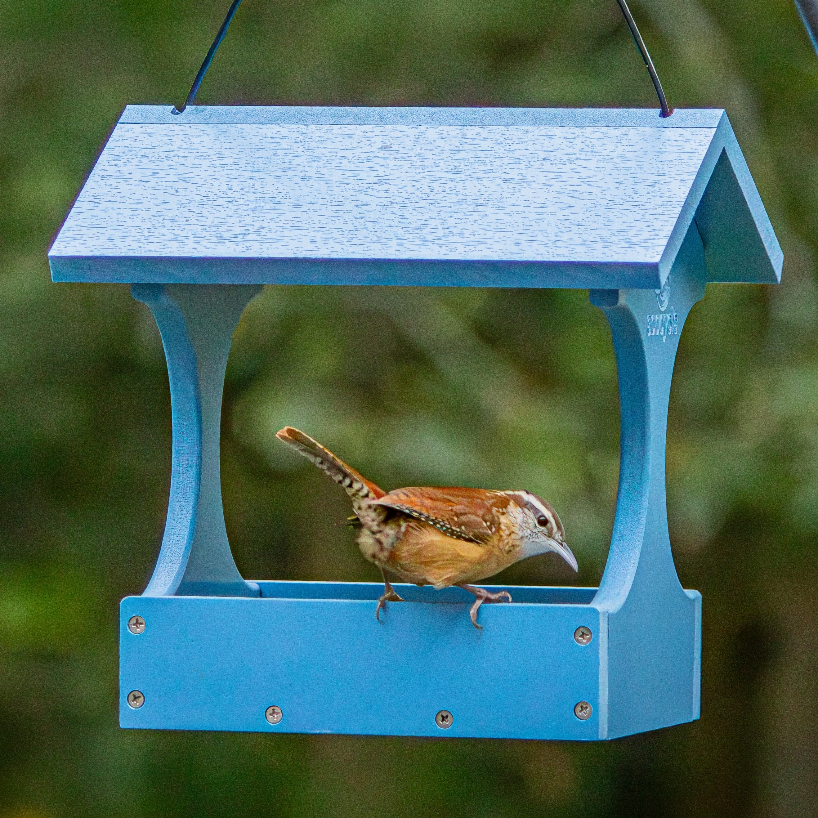 Dine-n-Dash Recycled Plastic Bird Feeder - Image 7