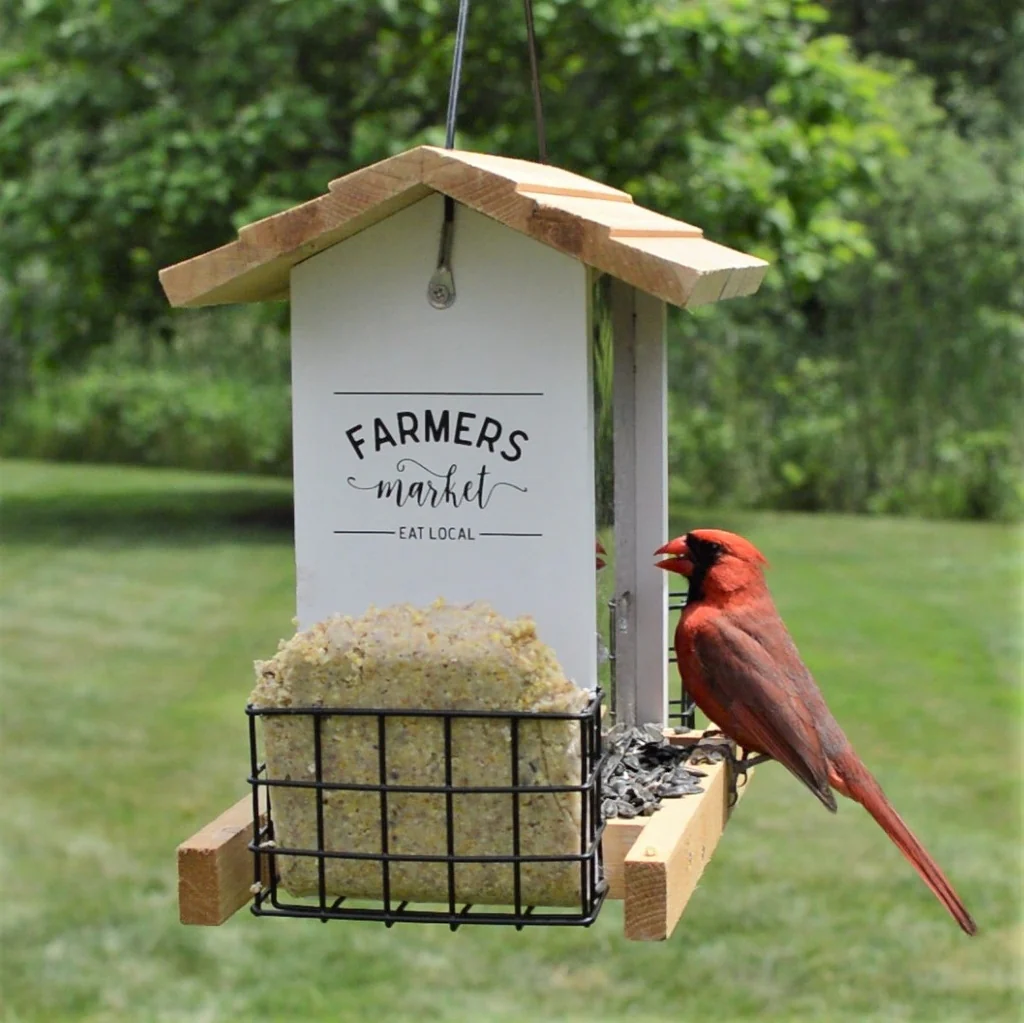 Farmhouse Cedar Hopper Feeder with Suet Cages - Image 7