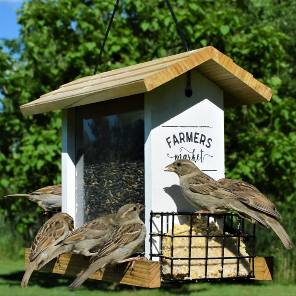 Farmhouse Cedar Hopper Feeder with Suet Cages - Image 9
