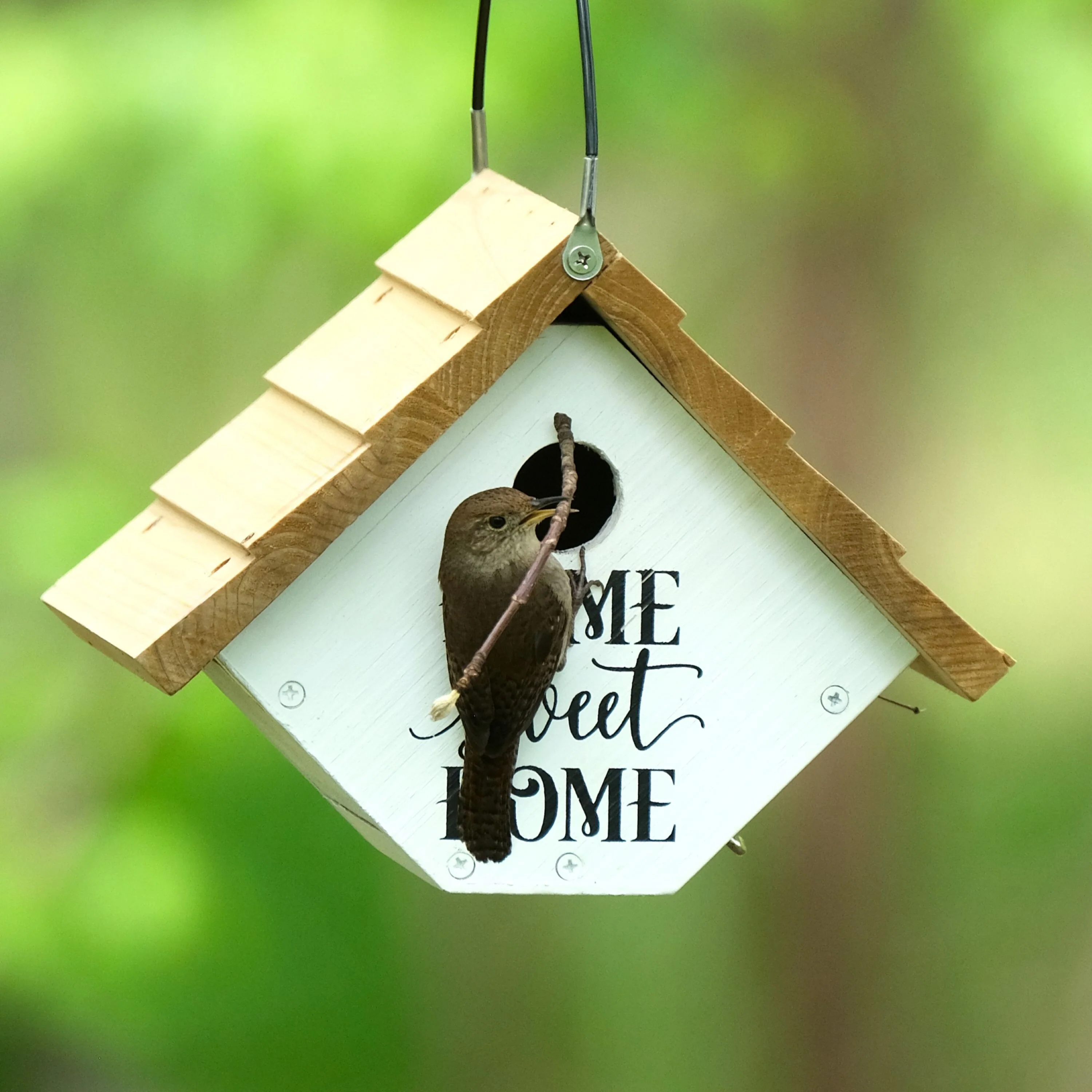 Farmhouse Cedar Wren House - Image 9