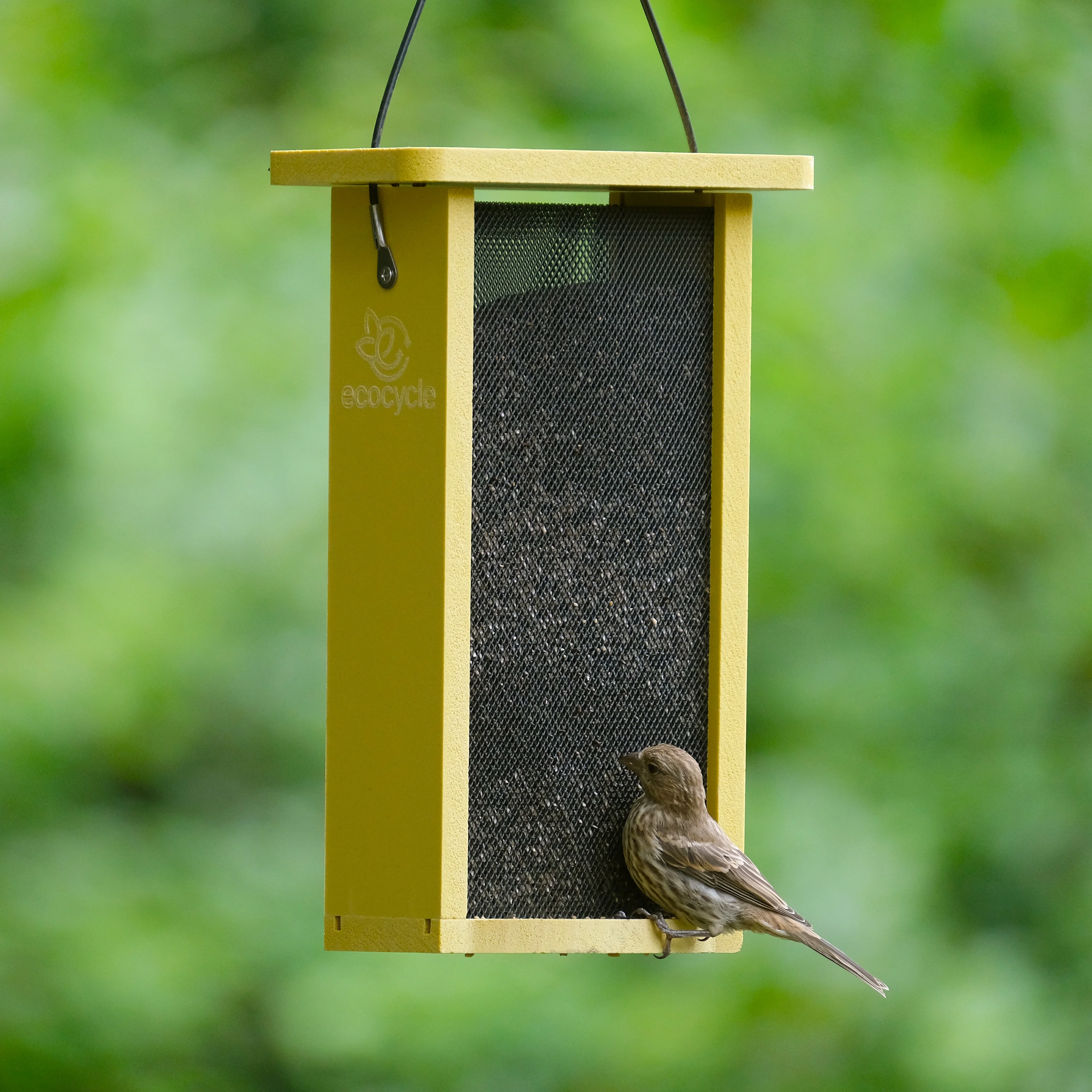 Finch Fare Recycled Plastic Thistle Mesh Bird Feeder - Image 10