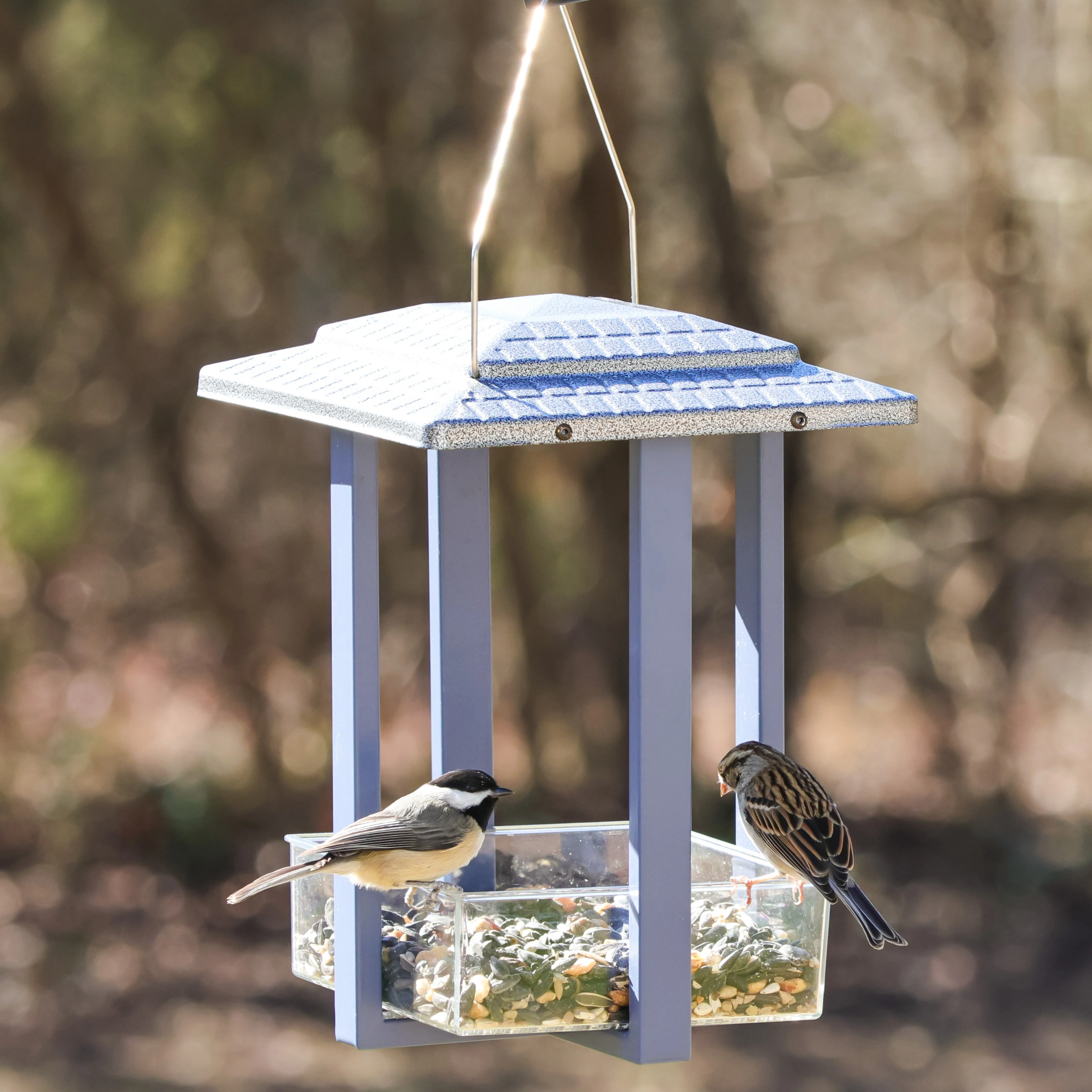 Fly-in Hanging Metal Fly Through Bird Feeder - Image 10