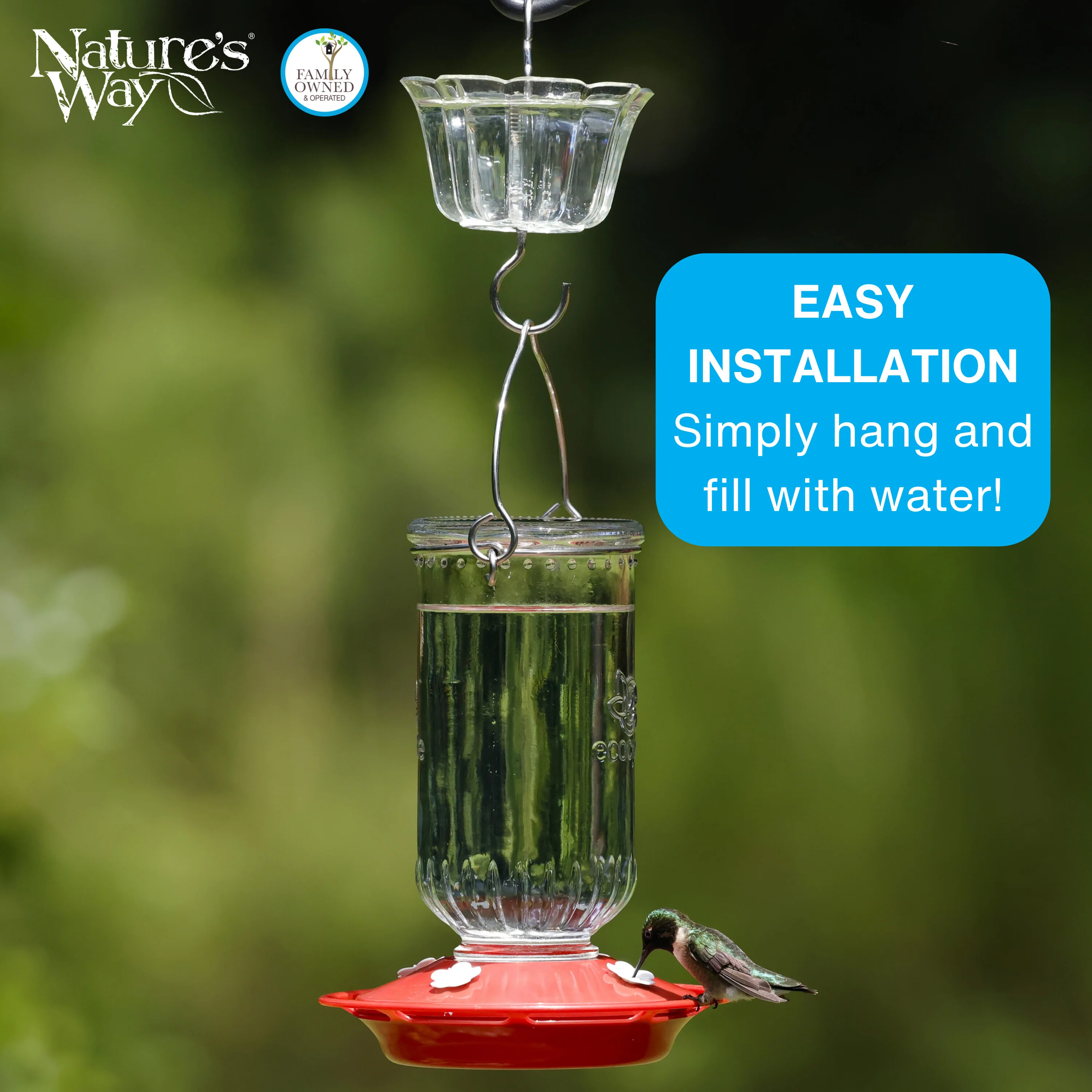 4-Pack Clear Hummingbird Feeder Ant Moat - Image 5