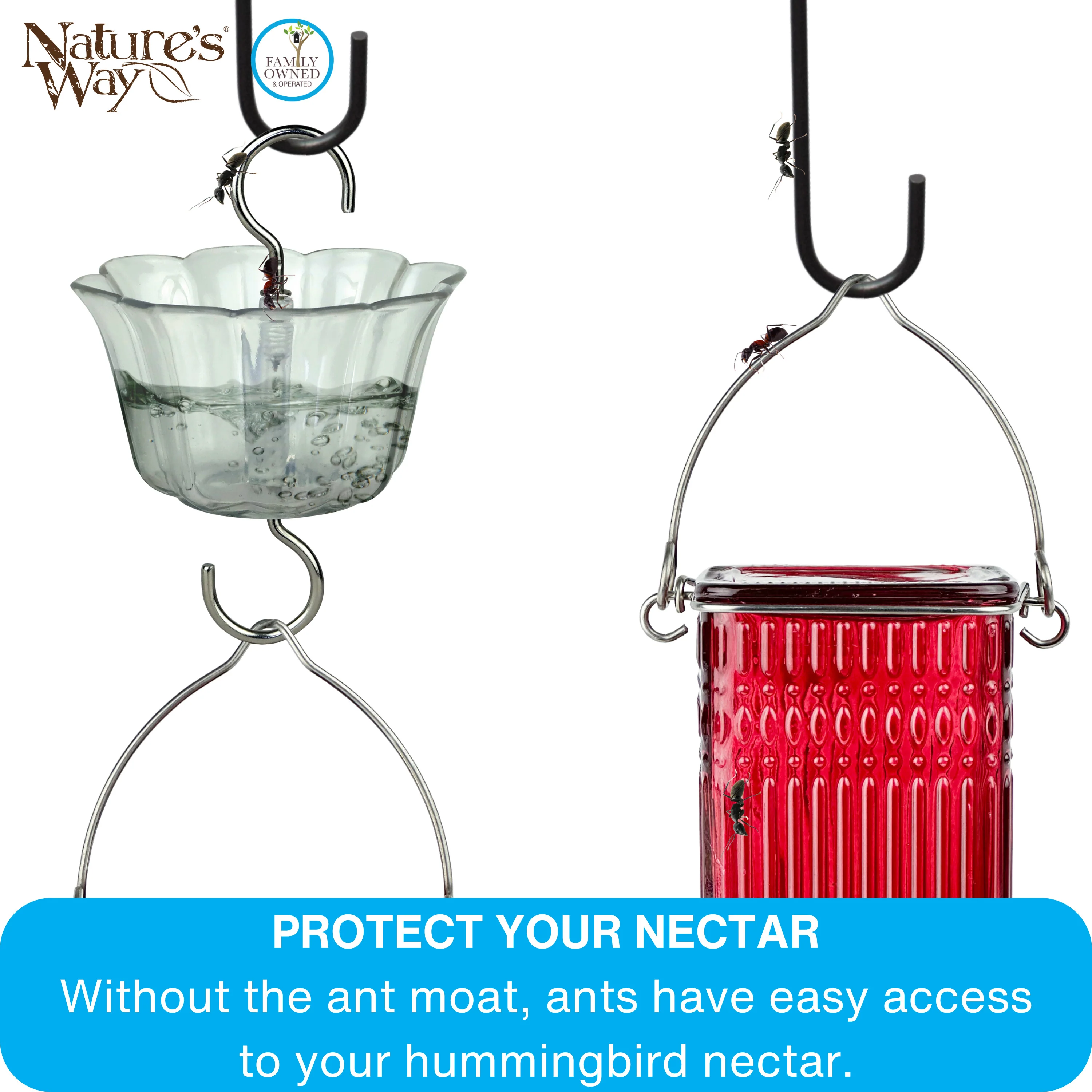 4-Pack Clear Hummingbird Feeder Ant Moat - Image 6