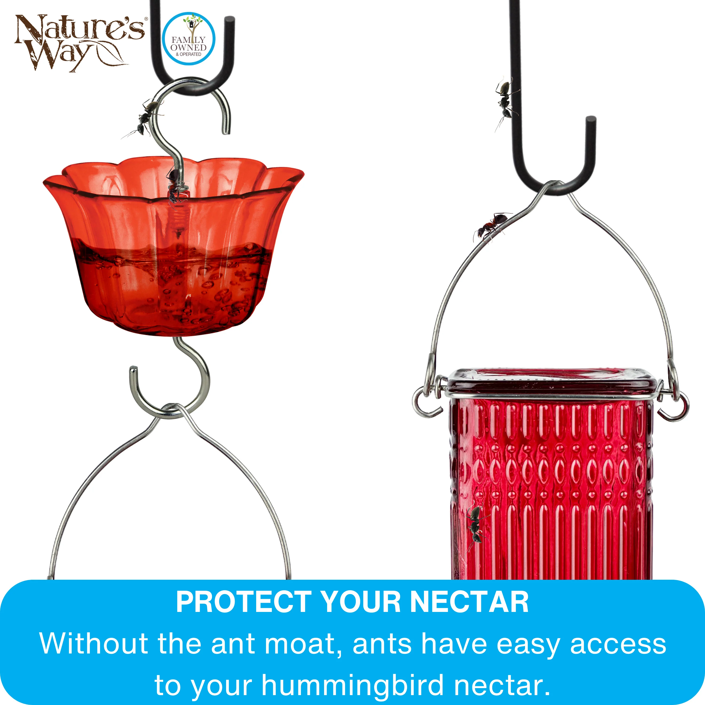 4-Pack Red Hummingbird Feeder Ant Moat - Image 5