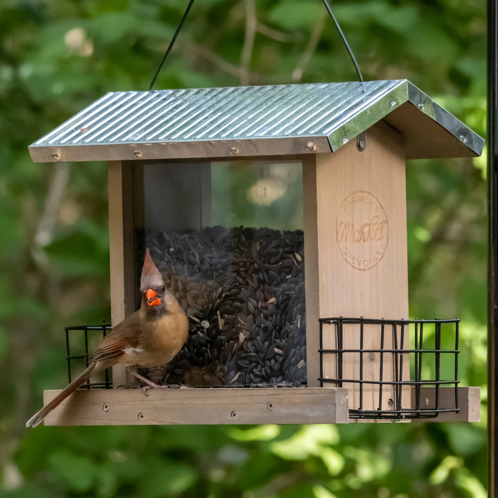 Galvanized Weathered Hopper Feeder - Image 9