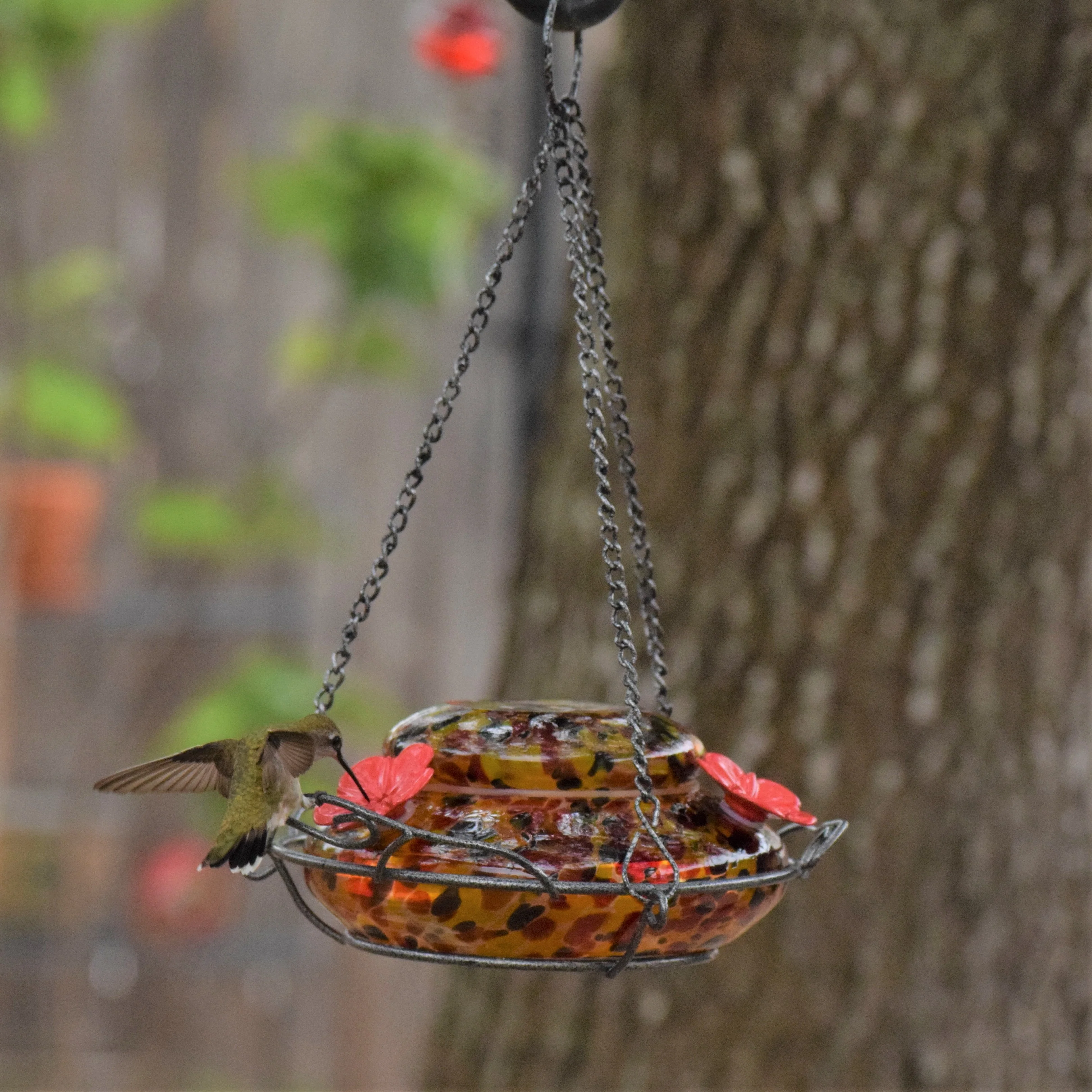 Garden Hummingbird Feeder - Molten