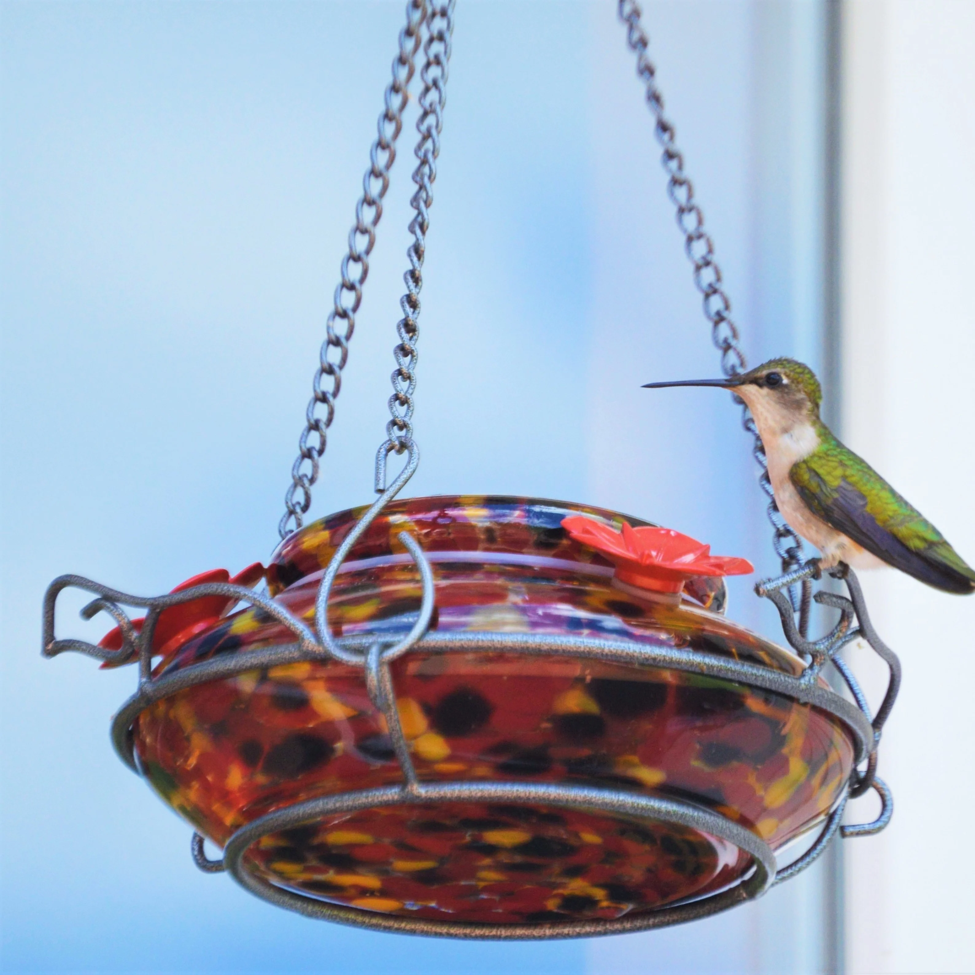 Garden Hummingbird Feeder - Molten - Image 2