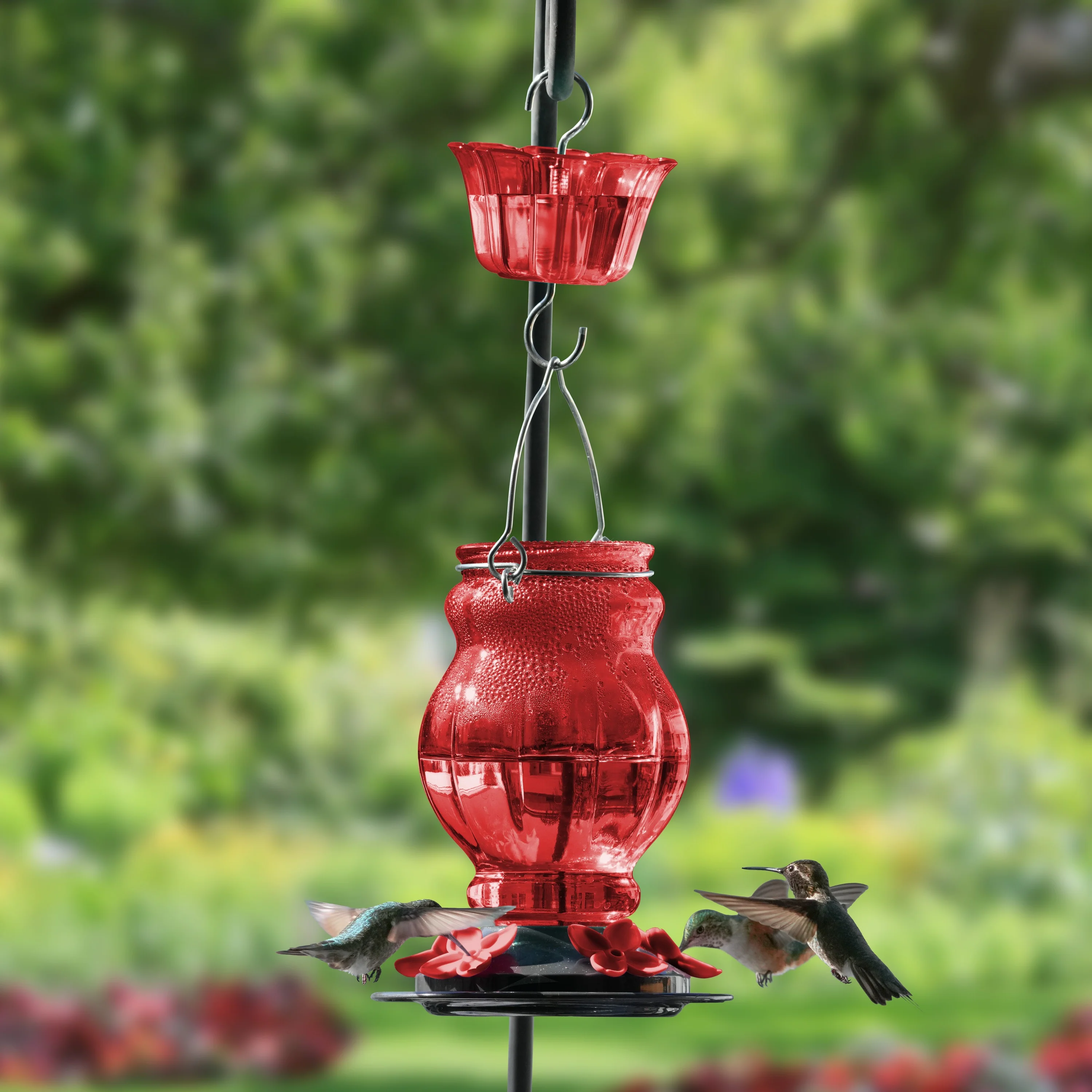 Garnet Visions Antique Hummingbird Gravity Feeder