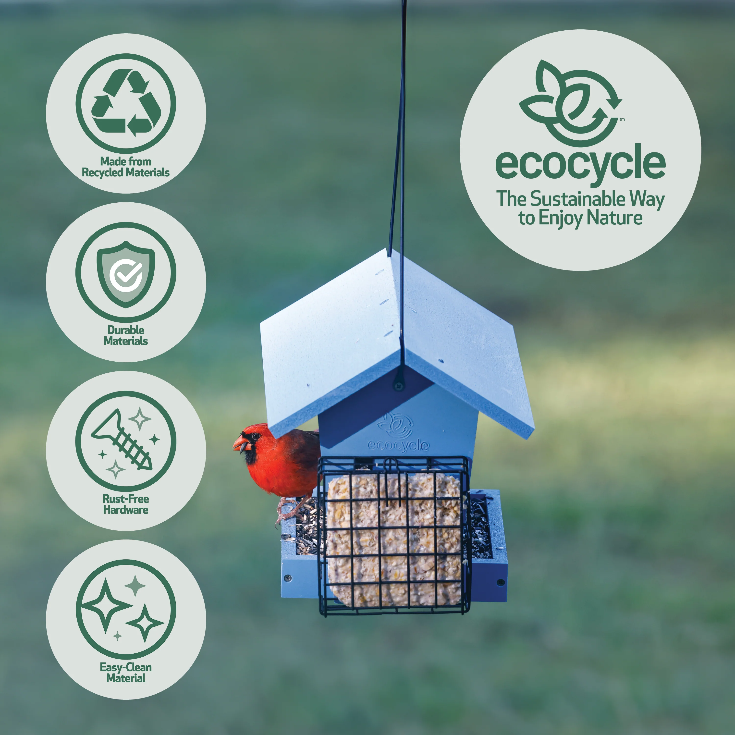 Hopper Hangout Recycled Plastic Hopper Bird Feeder w/ Suet Cages - Image 3