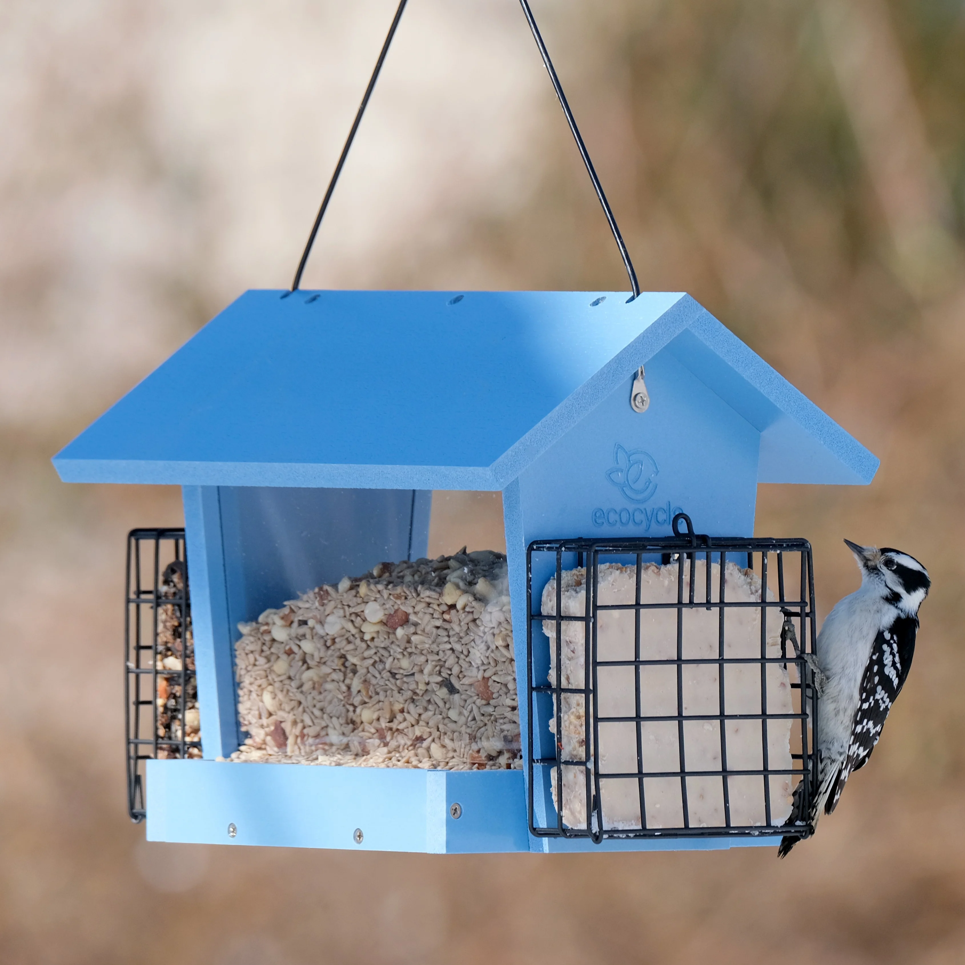 Hopper Hangout Recycled Plastic Hopper Bird Feeder w/ Suet Cages - Image 7