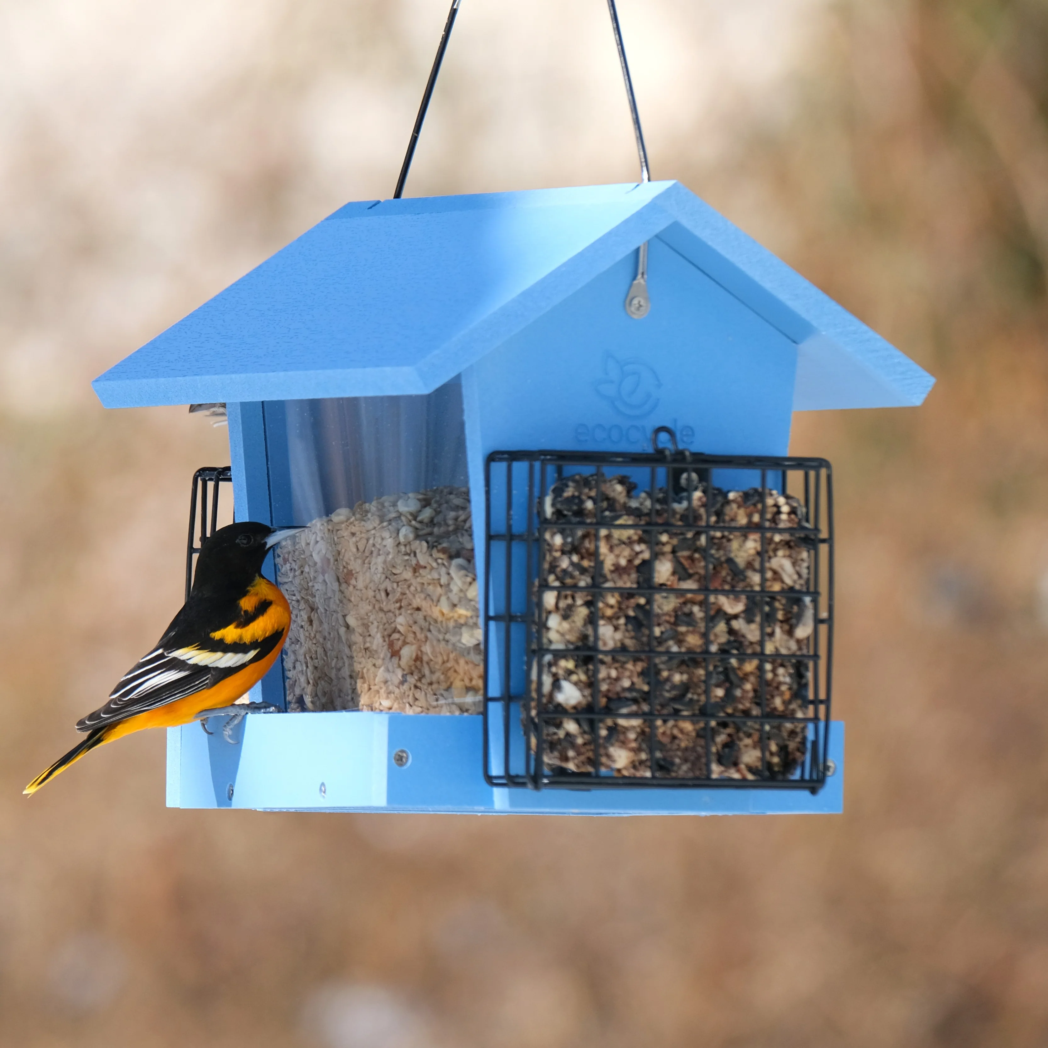 Hopper Hangout Recycled Plastic Hopper Bird Feeder w/ Suet Cages - Image 8