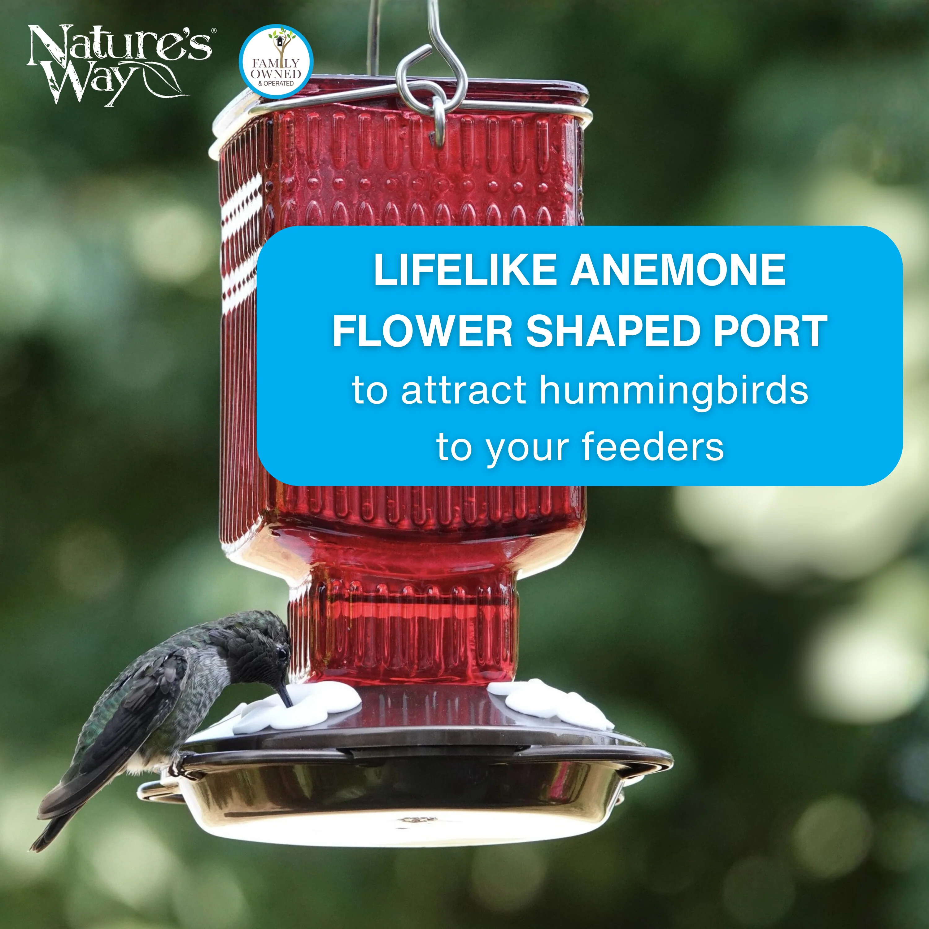 White Anemone Hummingbird Feeder Replacement Flowers w/ Cleaning Brush - Anemone, 12 ct - Image 4