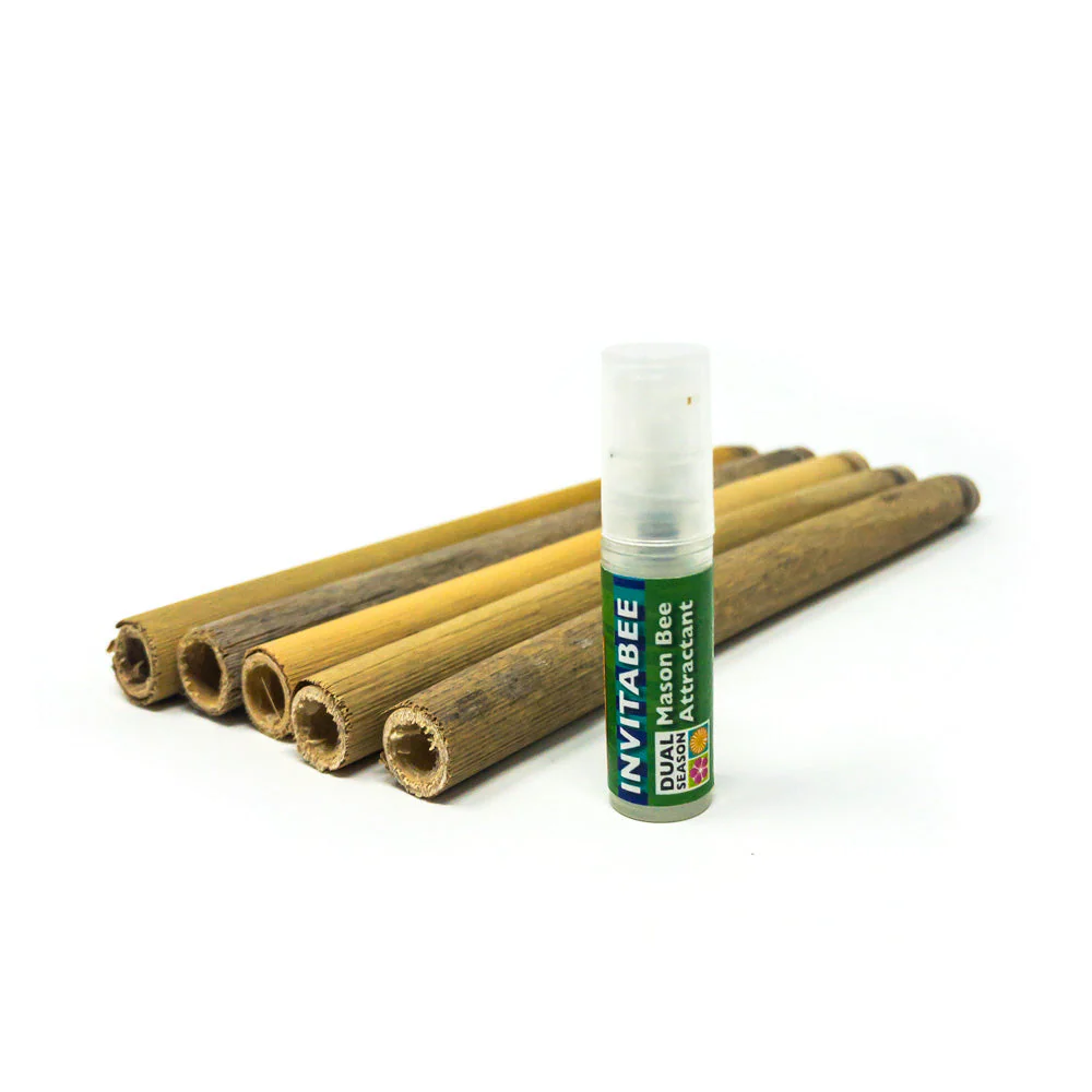 InvitaBee Mason Bee Attractant - Image 3