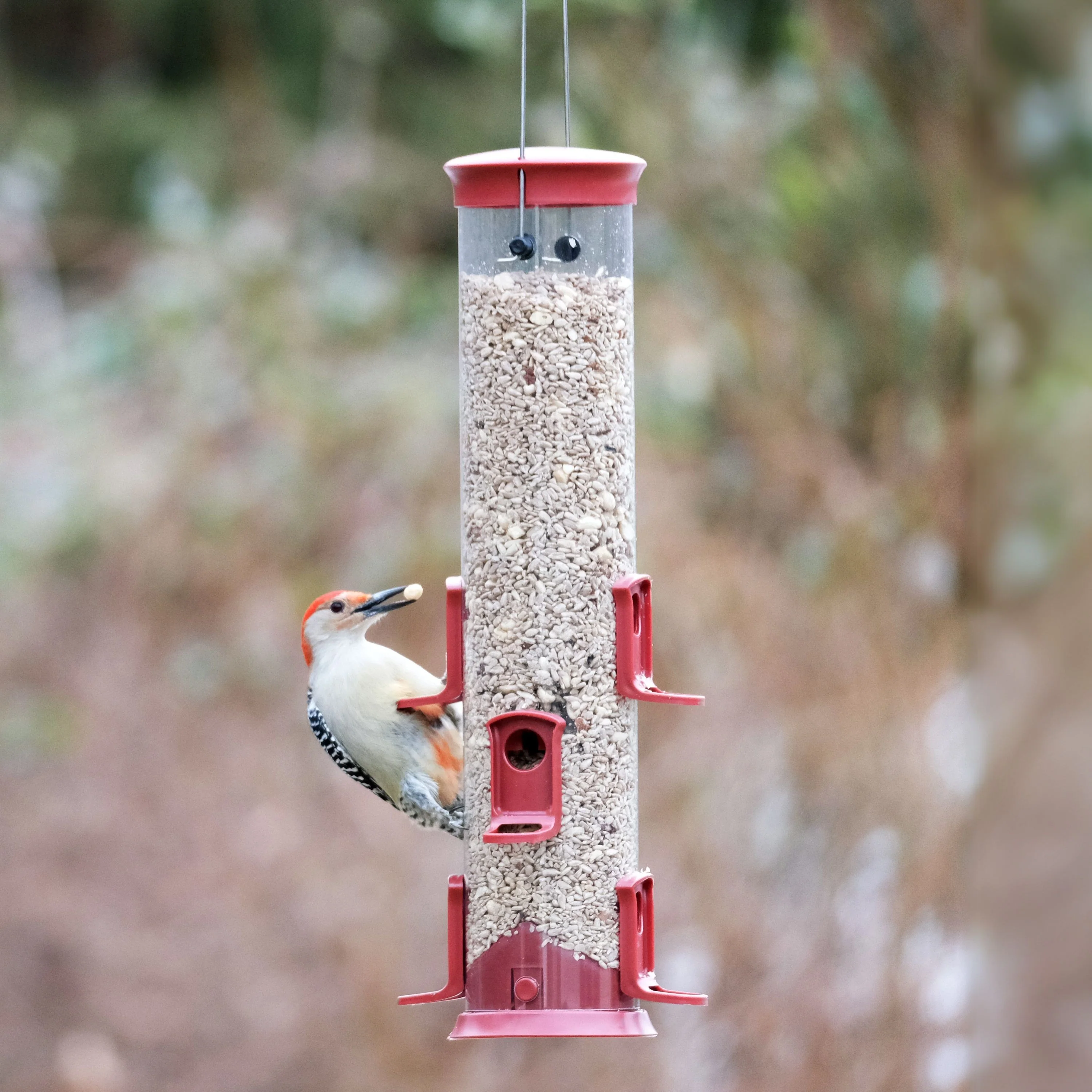 Large Plastic Tube Bird Feeder - Red - Image 10