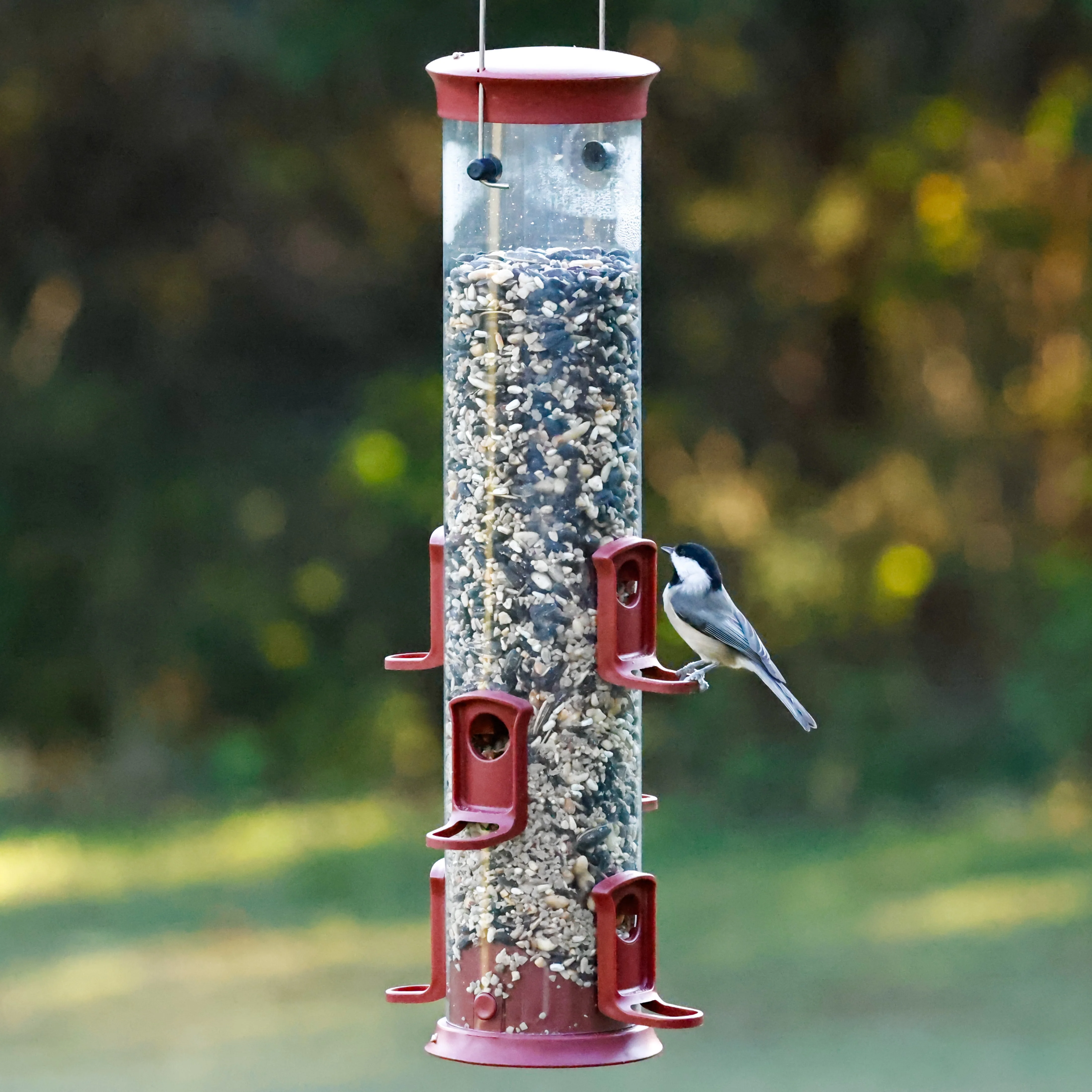 Large Plastic Tube Bird Feeder - Red - Image 8