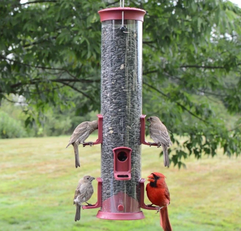 Large Plastic Tube Bird Feeder - Red - Image 9