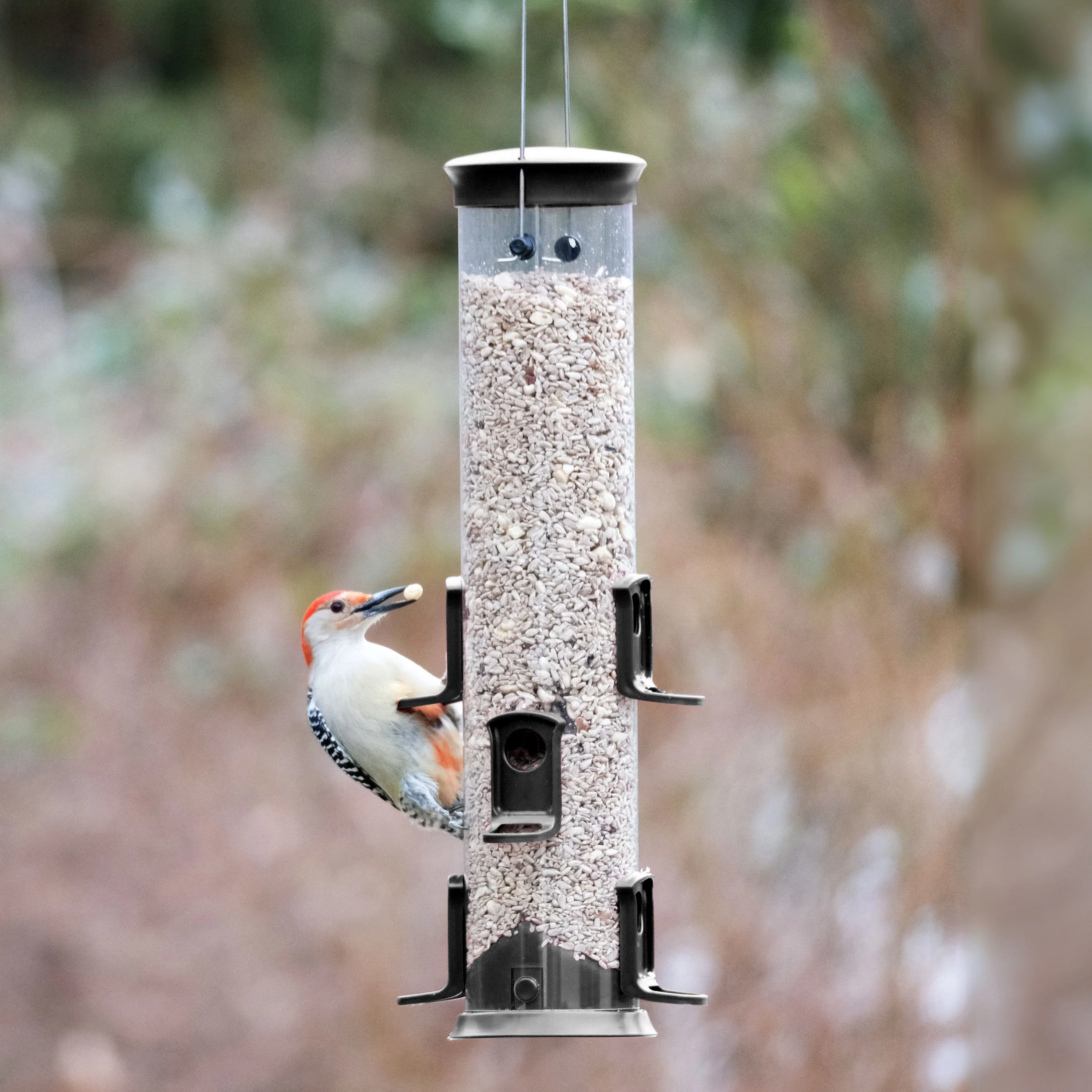 Large Plastic Tube Bird Feeder - Black - Image 10