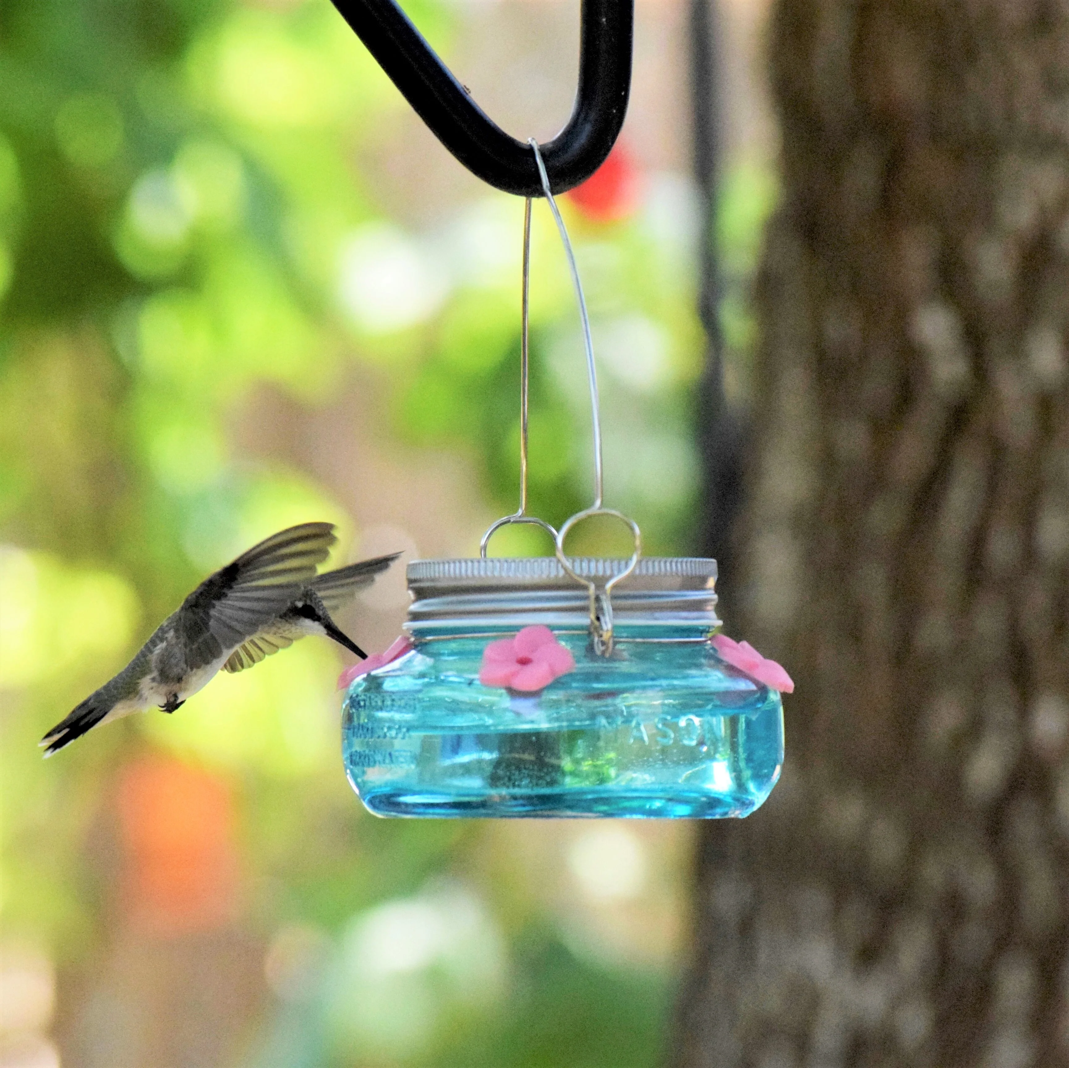 Antique Teal Mason Jar Glass Top-Fill Dish Hummingbird Feeder