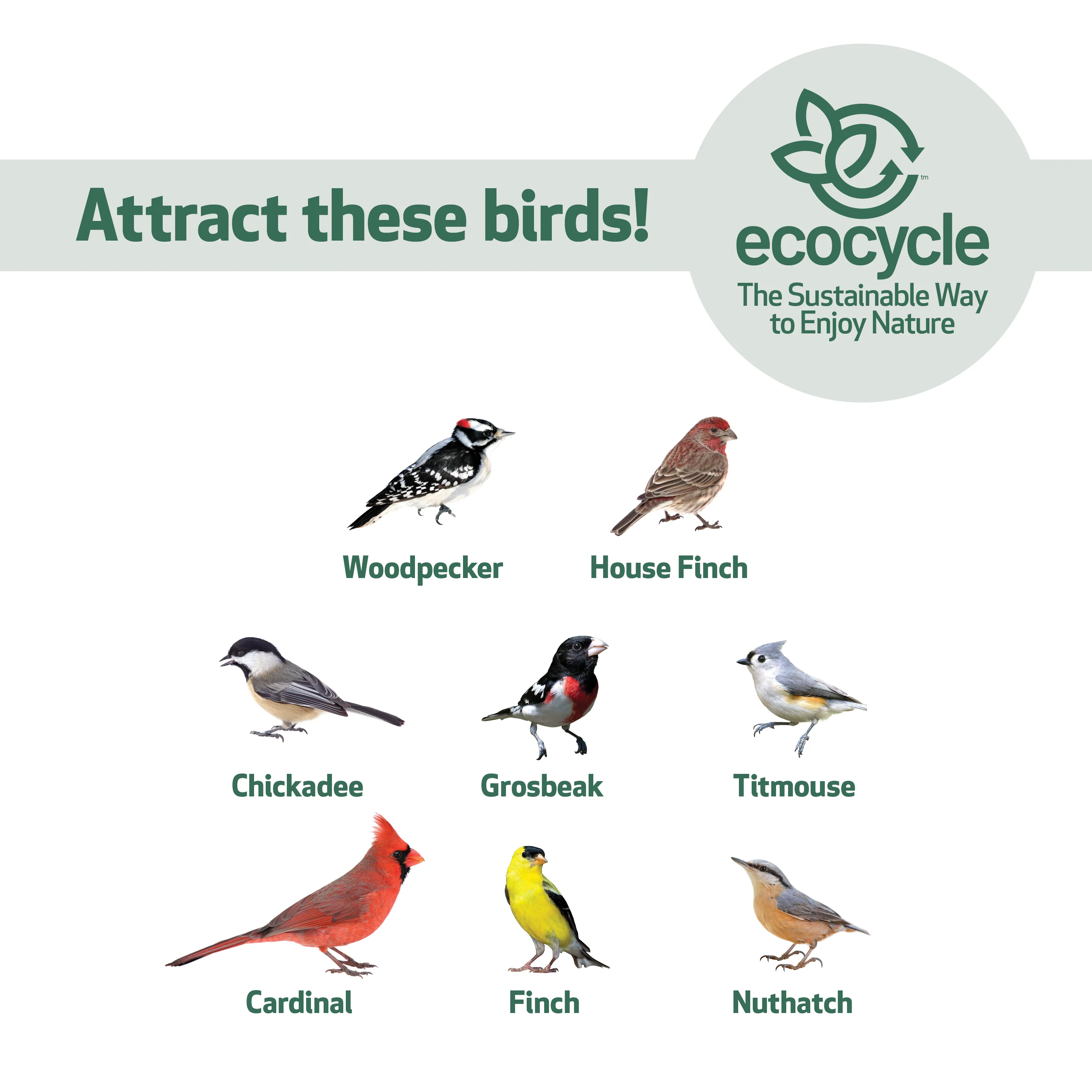 Mesh Morsels Recycled Plastic Mesh Bird Feeder - Image 5