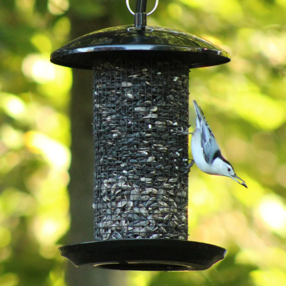 Midnight Metal Mesh Mixed Seed and Peanut Bird Feeder - Image 10