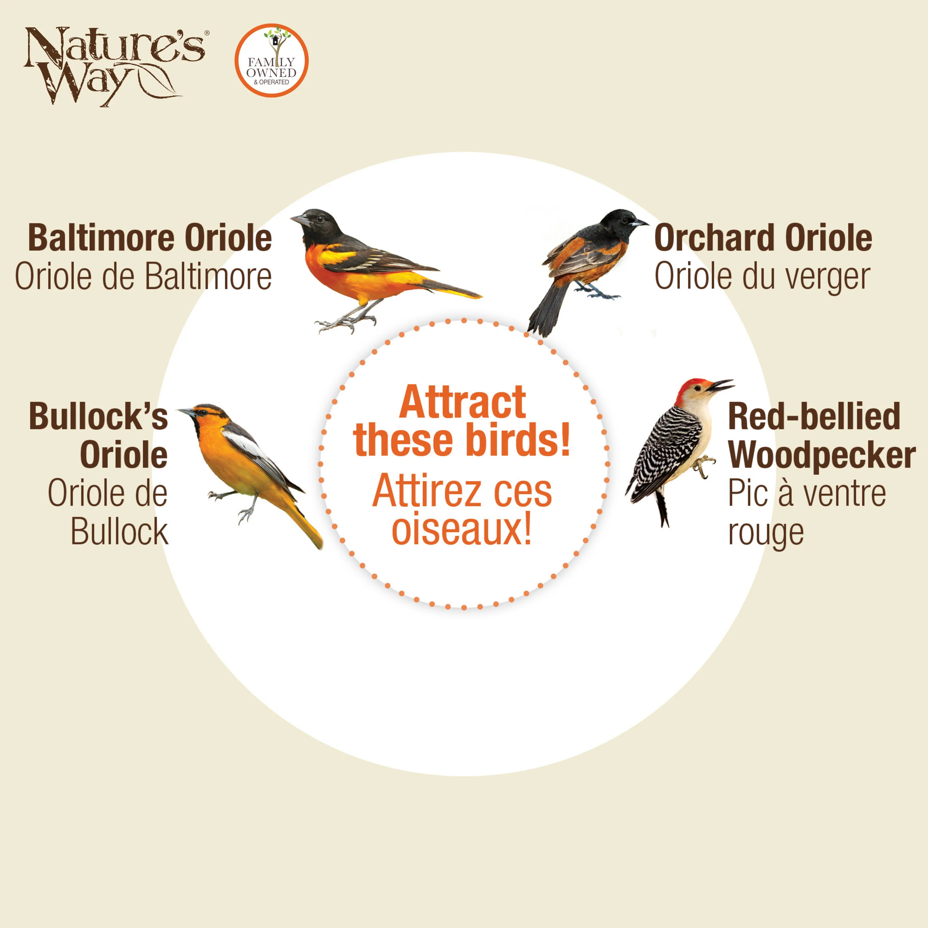Orange Blossom Glass Oriole Feeder w/ Jelly Attachments - Image 6