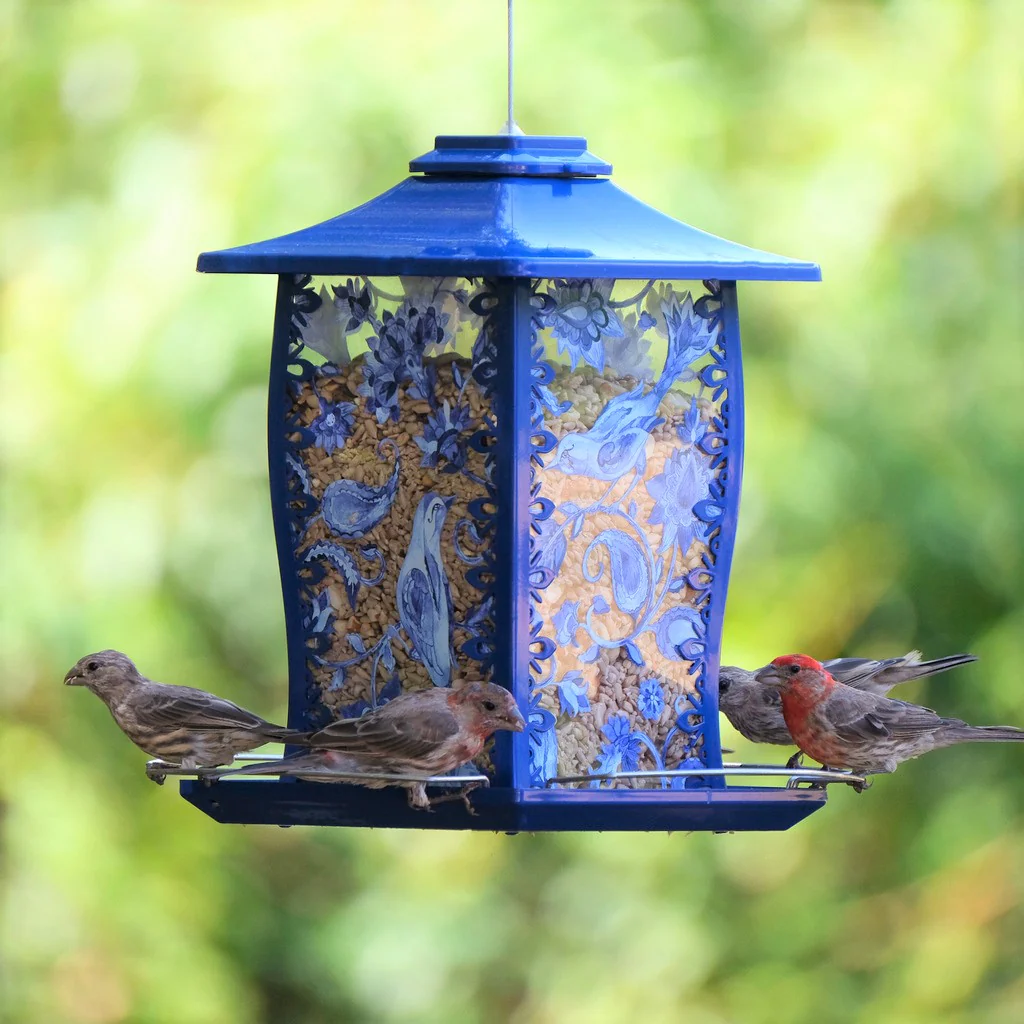 Paisley Sky Gazebo Bird Feeder