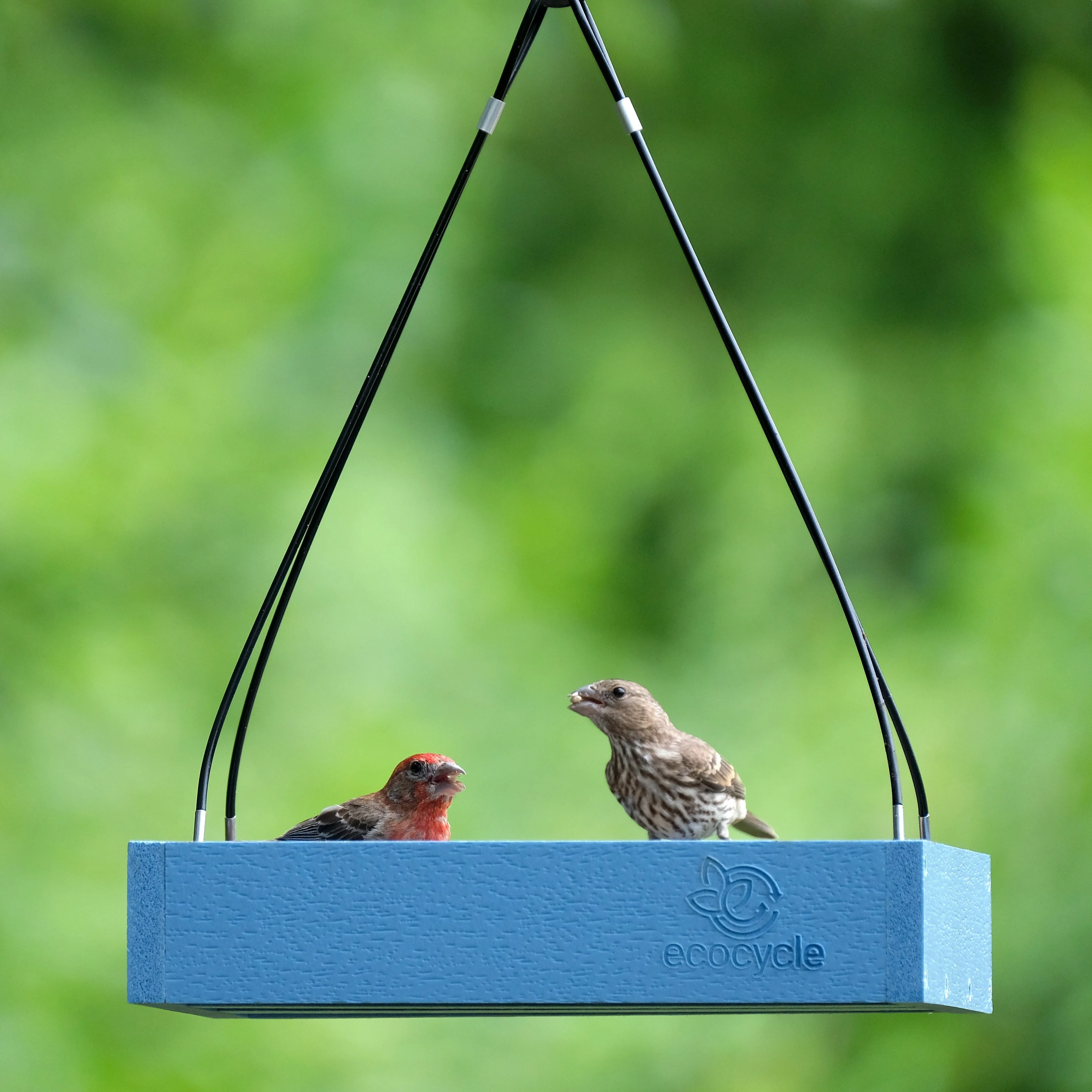Perfect Picnic Recycled Plastic Bird Feeder - Image 7