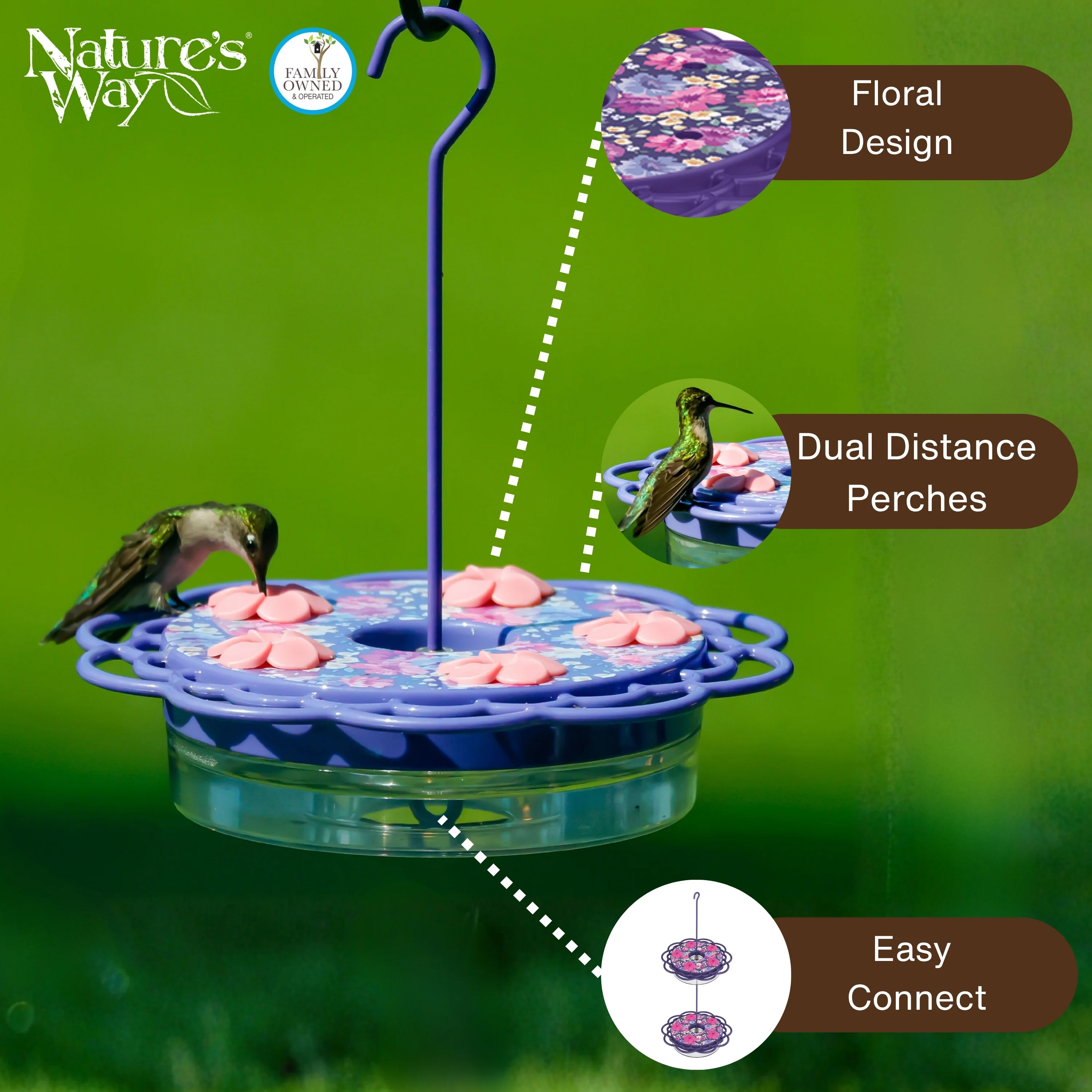 Petunia Passion Plastic Hanging Dish Hummingbird Feeder - Image 3