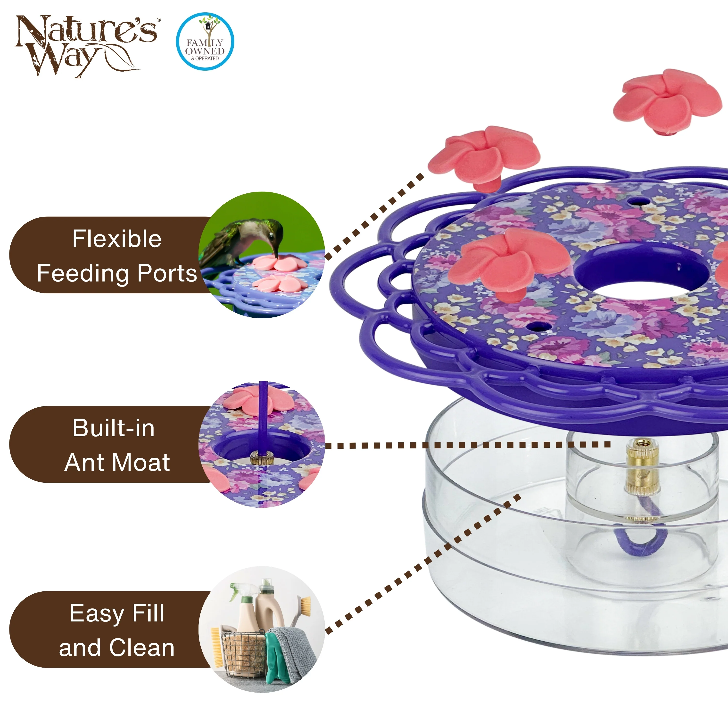 Petunia Passion Plastic Hanging Dish Hummingbird Feeder - Image 4