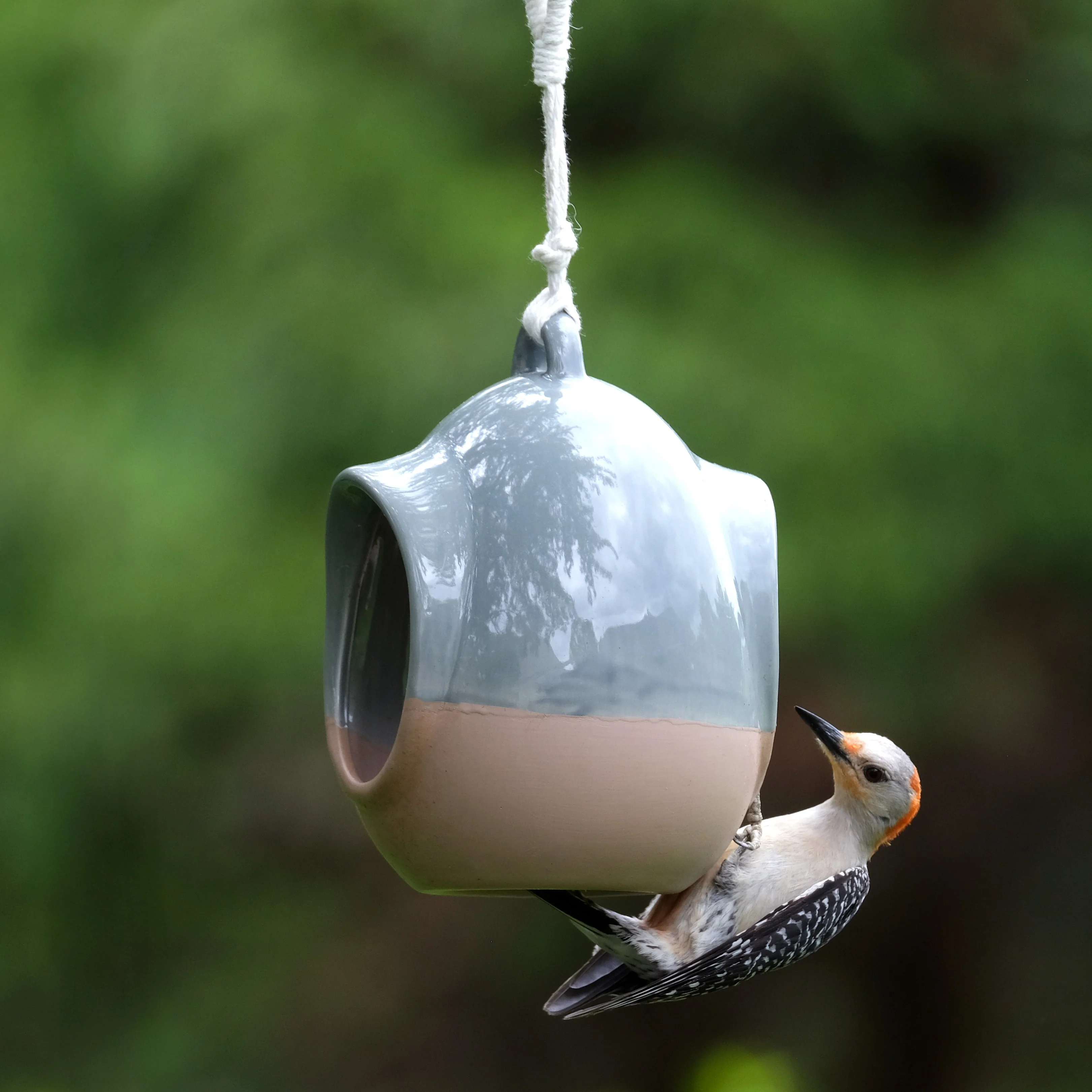 Planter & Perch Ceramic Fly Through Feeder and Planter - Image 11