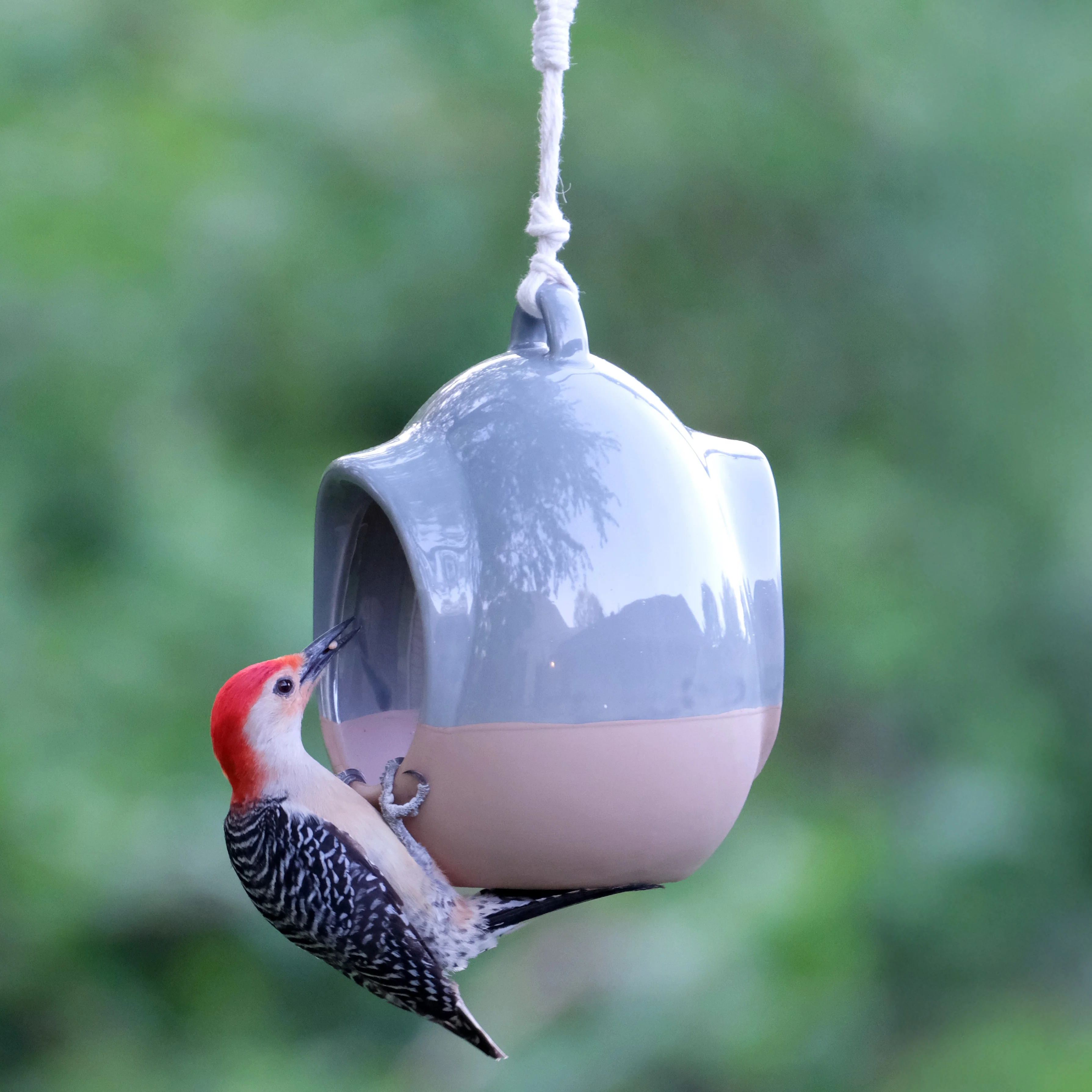 Planter & Perch Ceramic Fly Through Feeder and Planter - Image 7